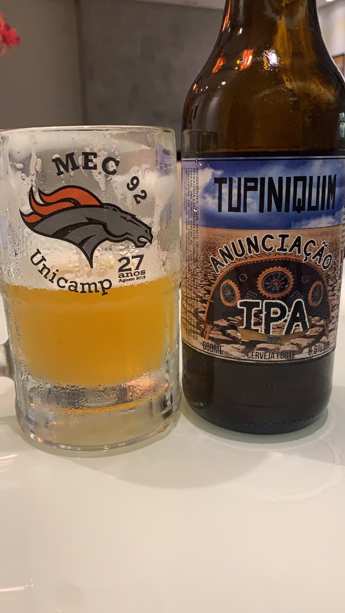 Tupiniquim Anunciação IPA, Brazil