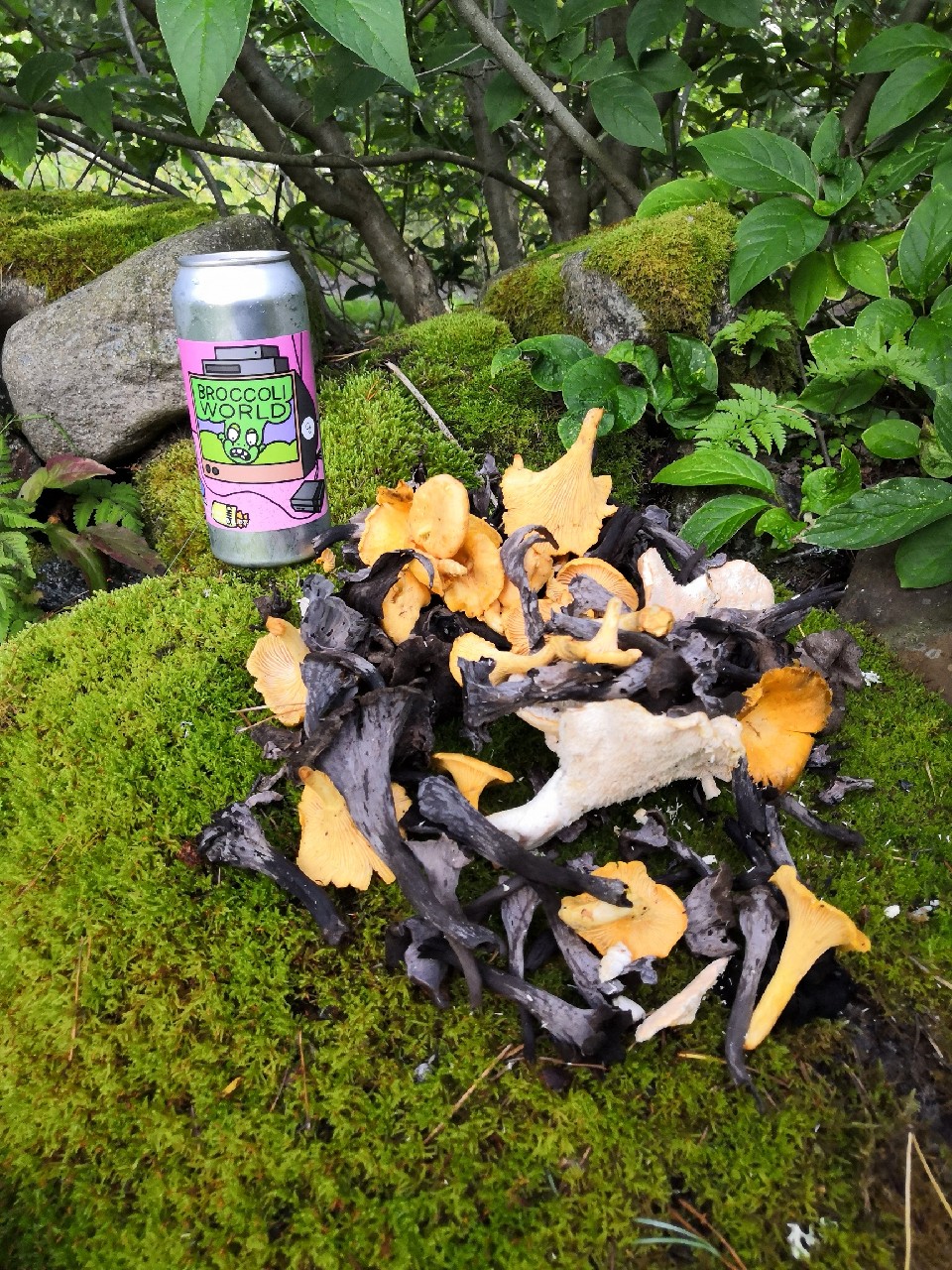 Broccoli World, United States