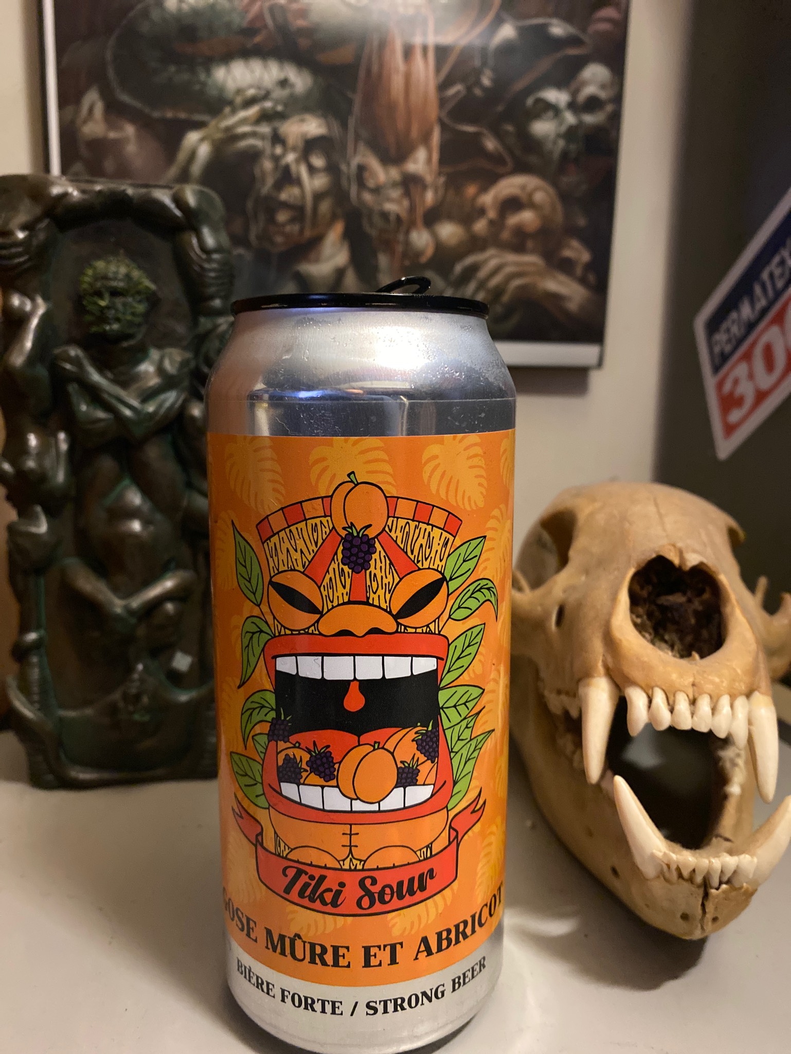 Tiki Sour - Gose Mûre et Abricot, Canada