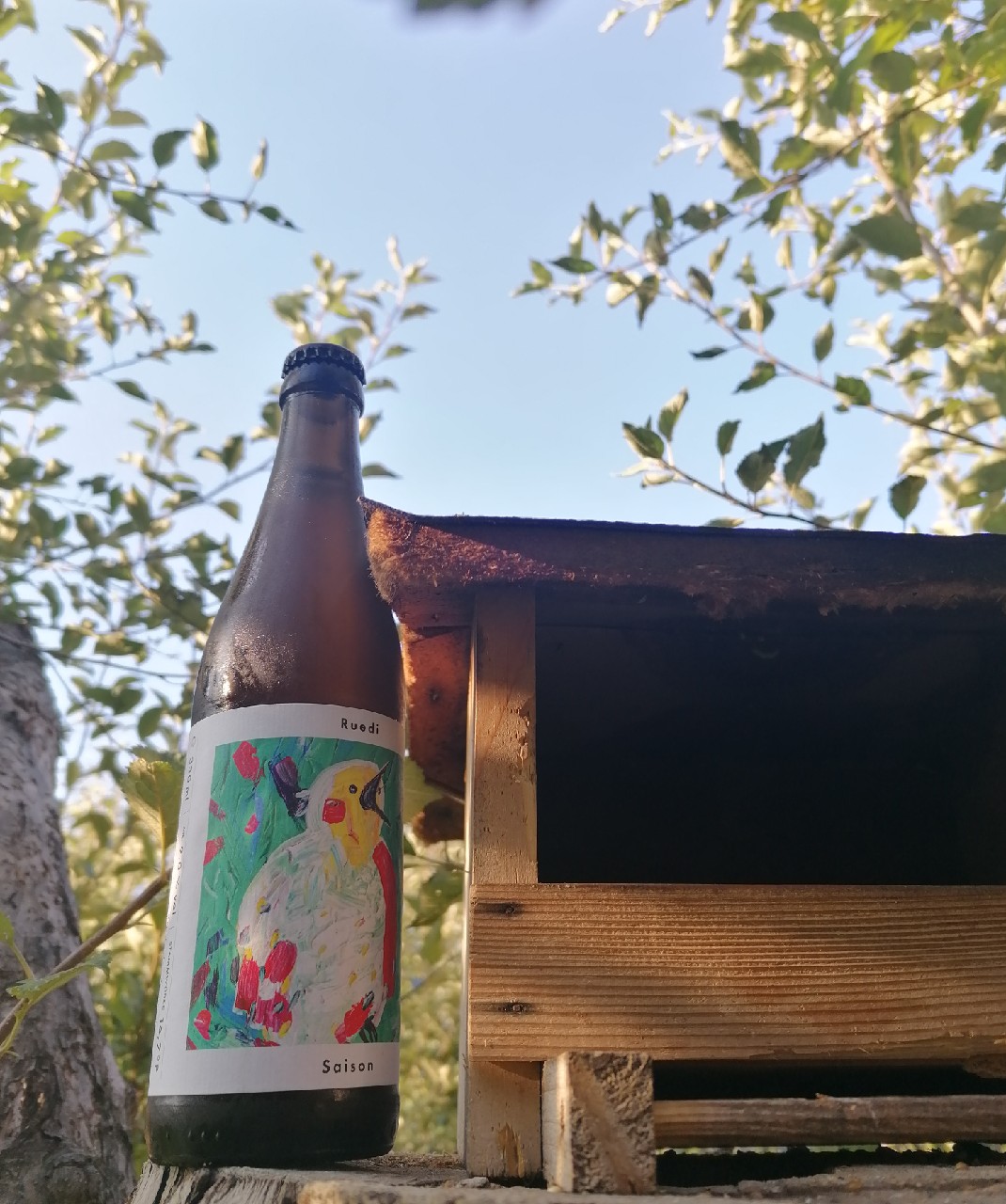 Ruedi Saison, Germany