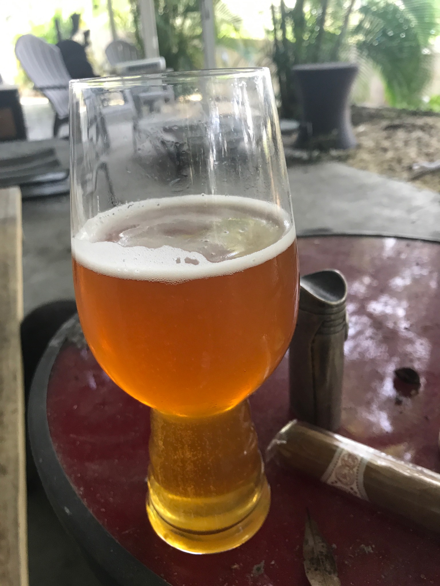 HopStorm IPA, United States