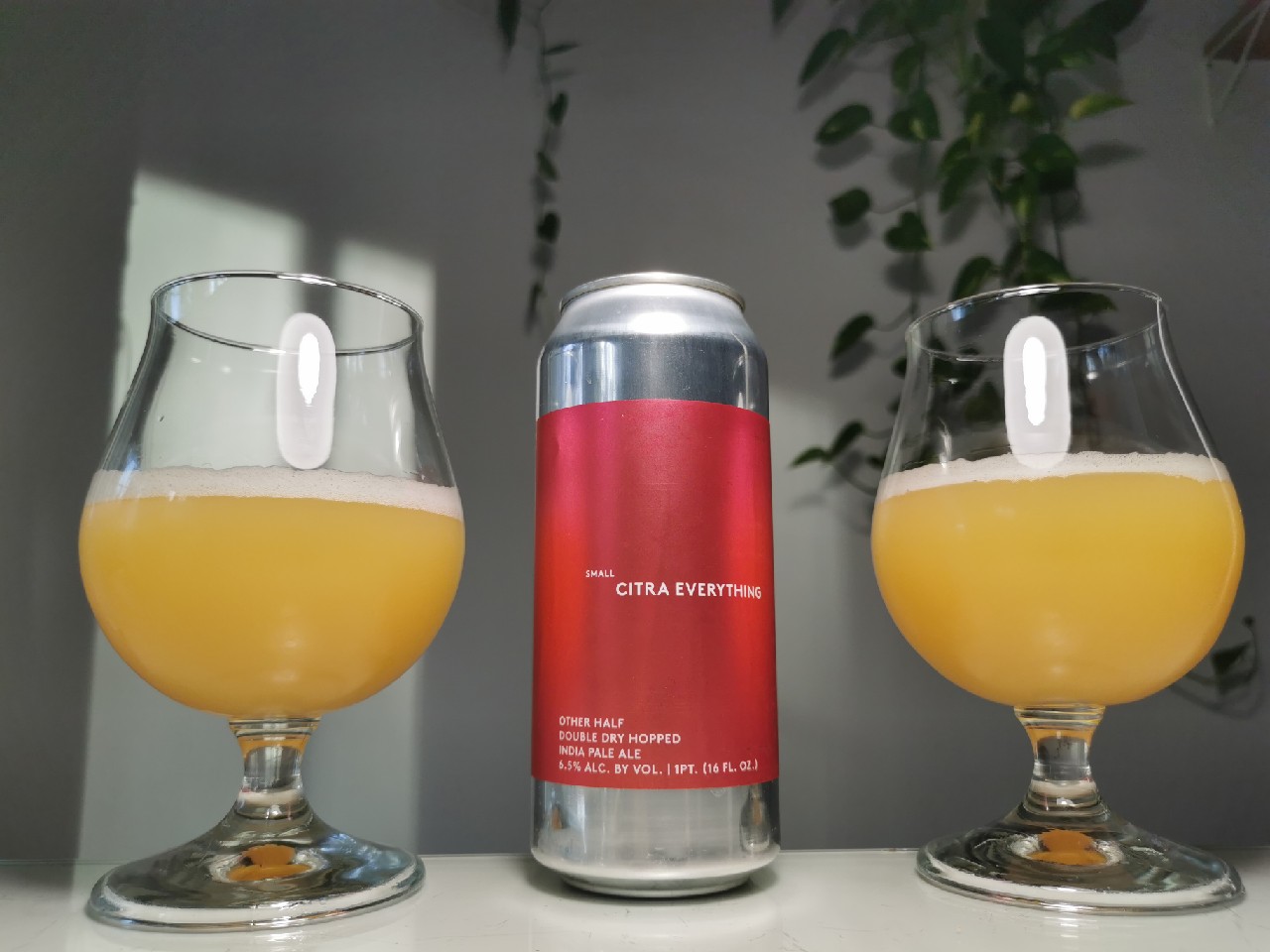 Small Citra Everything, United States