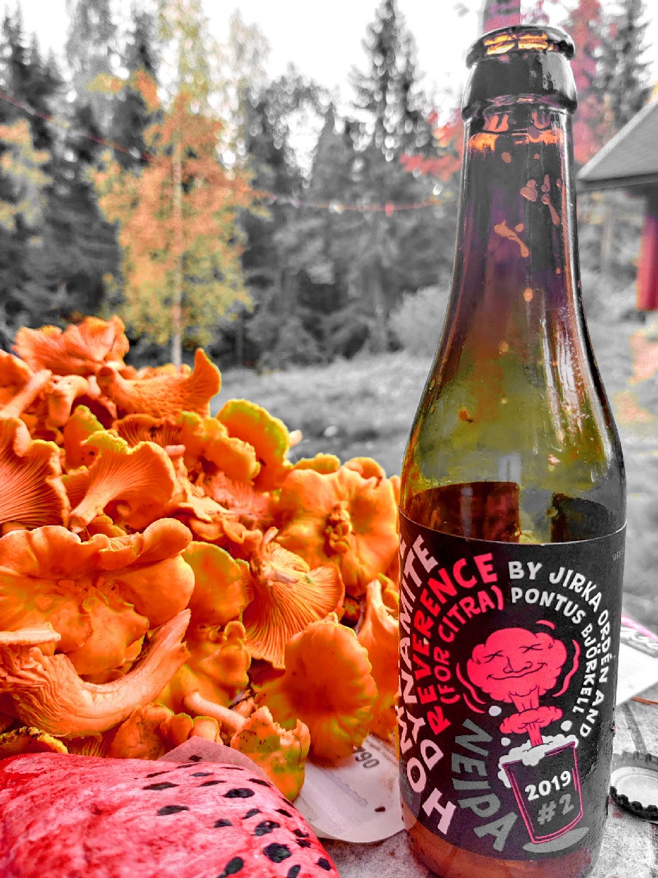 homemade dynamite, Finland