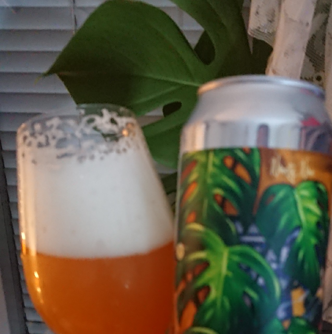 Curiosity Ninety Nine, United States