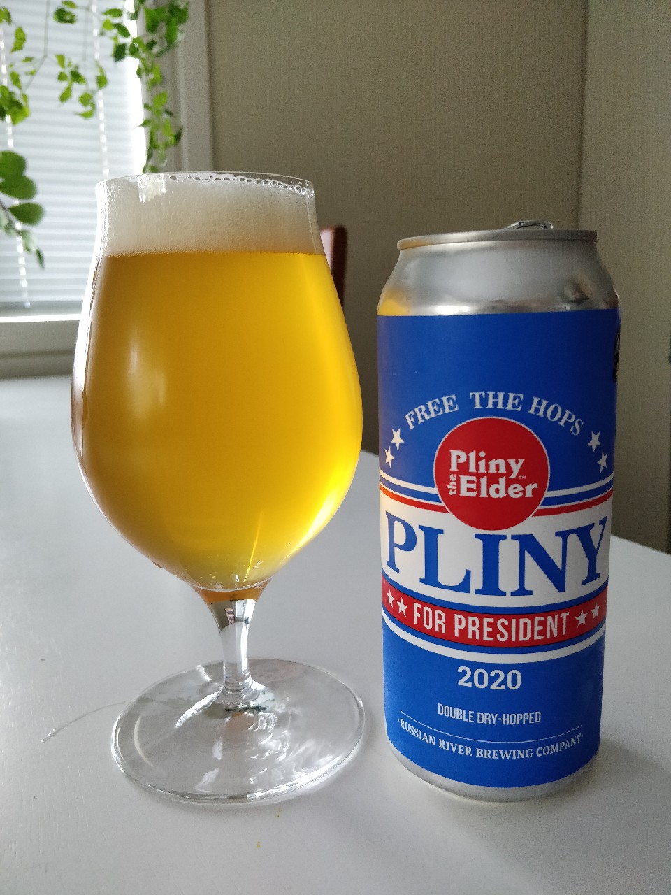 Pliny for President, United States