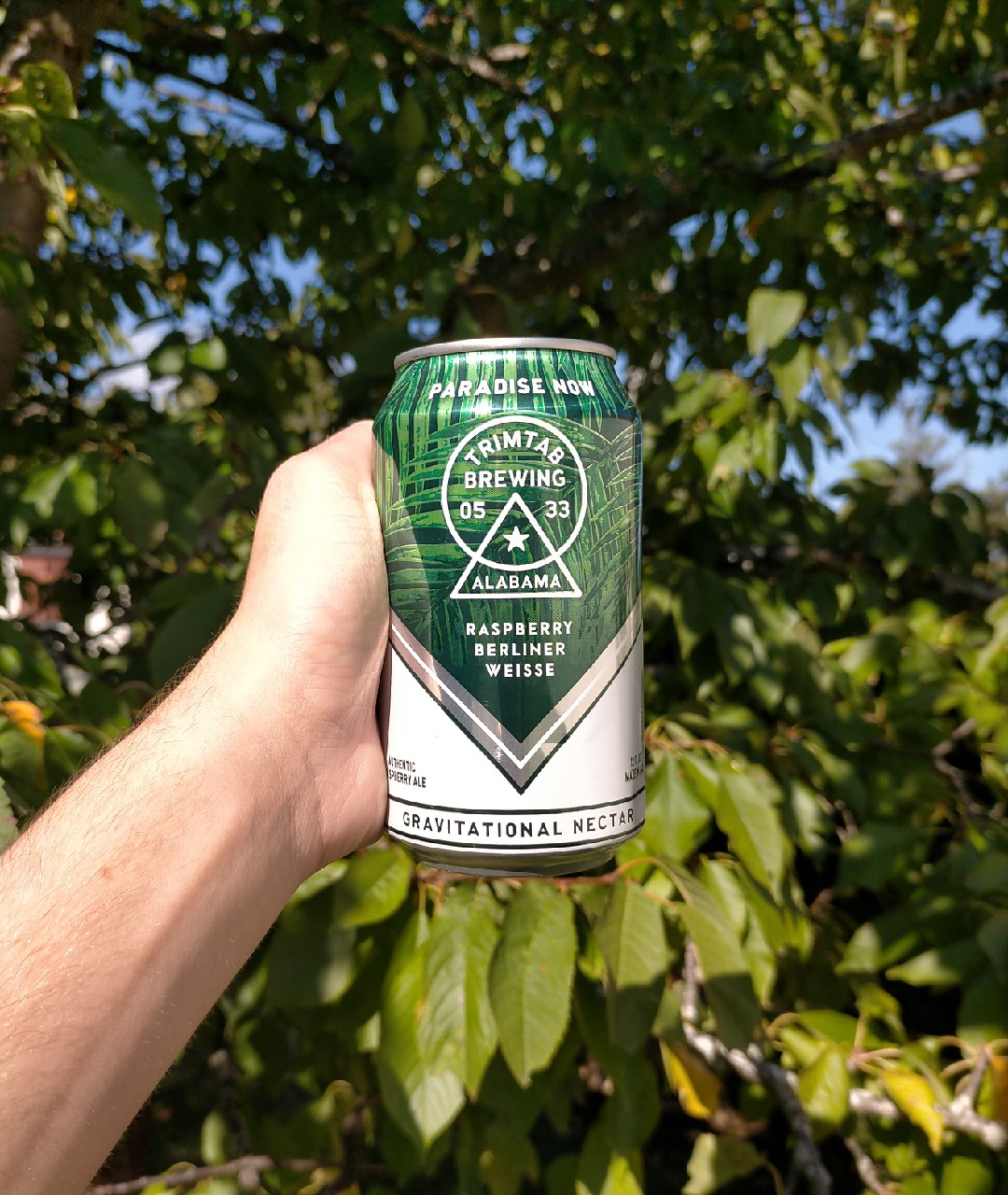 Paradise Now, United States