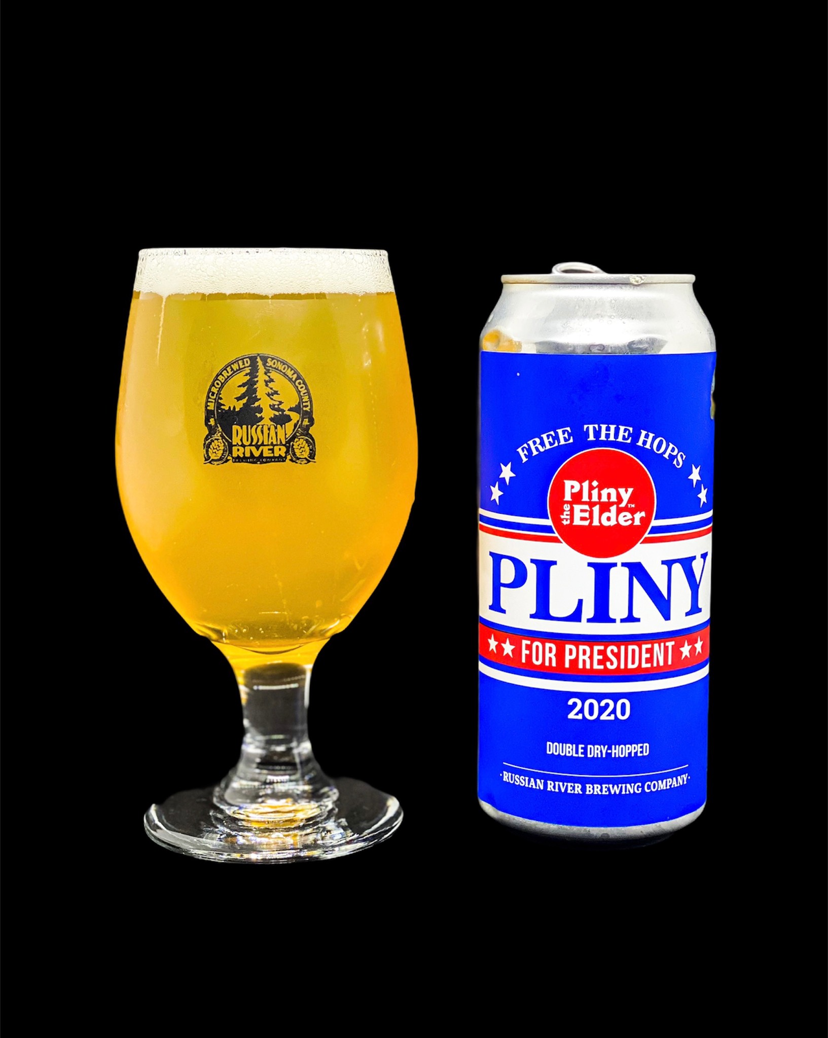 Pliny for President, United States