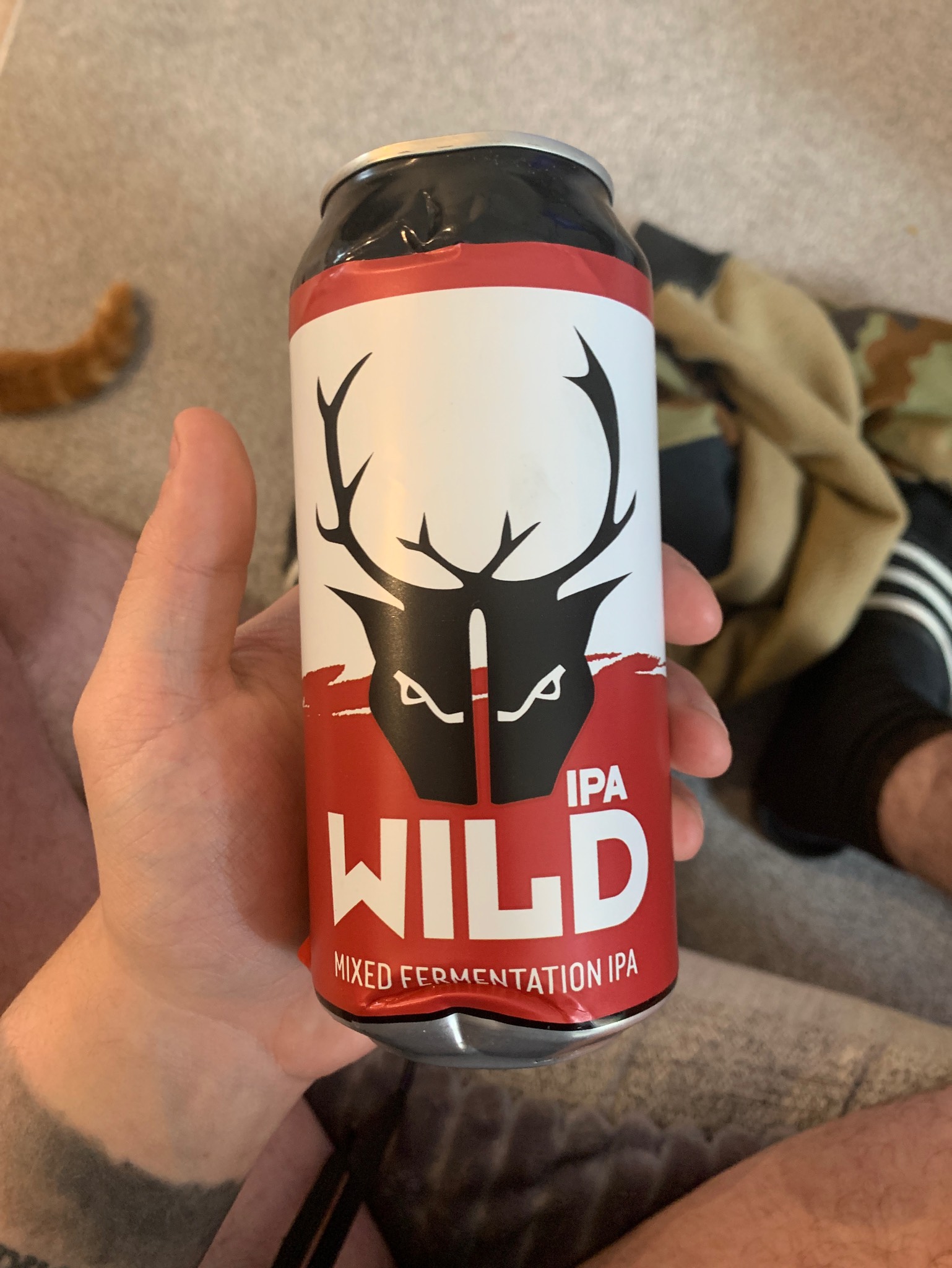 Wild Fermentation IPA, England