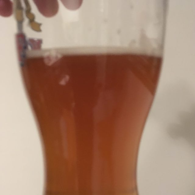 Sincle Hop Mosaic Pale Ale, Finland