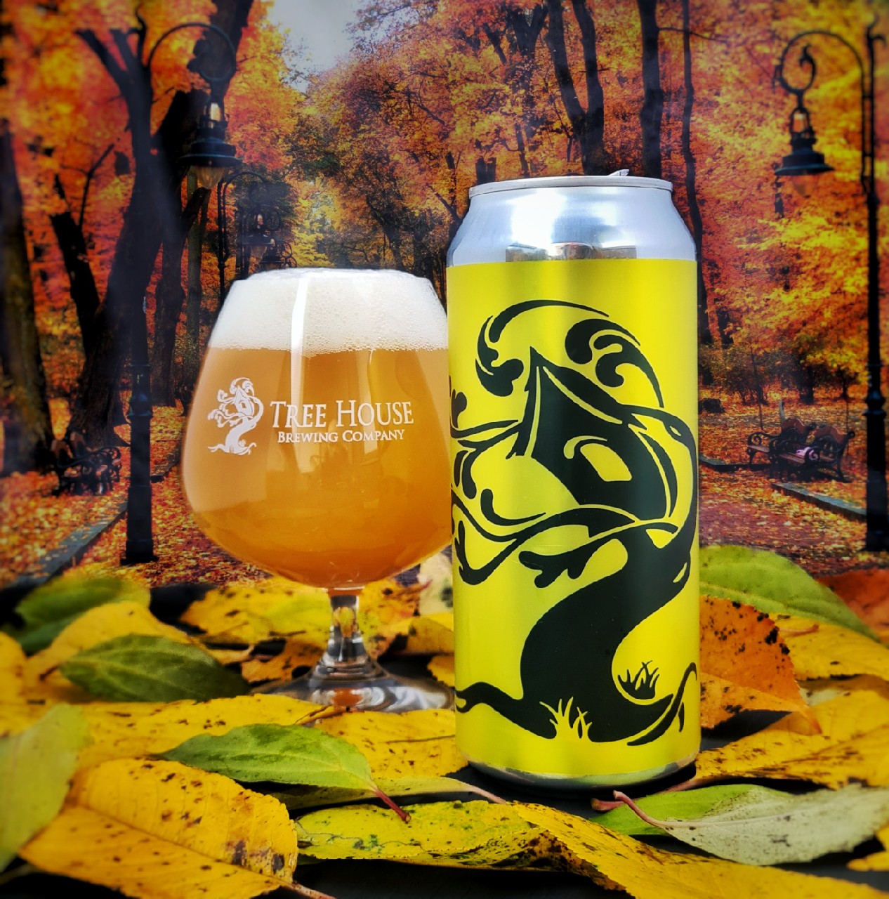 Super Cachet, United States