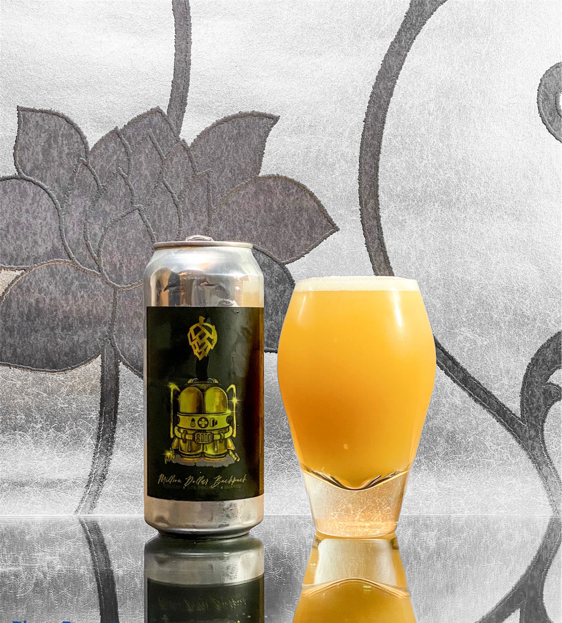 Million Dollar Backpack, United States