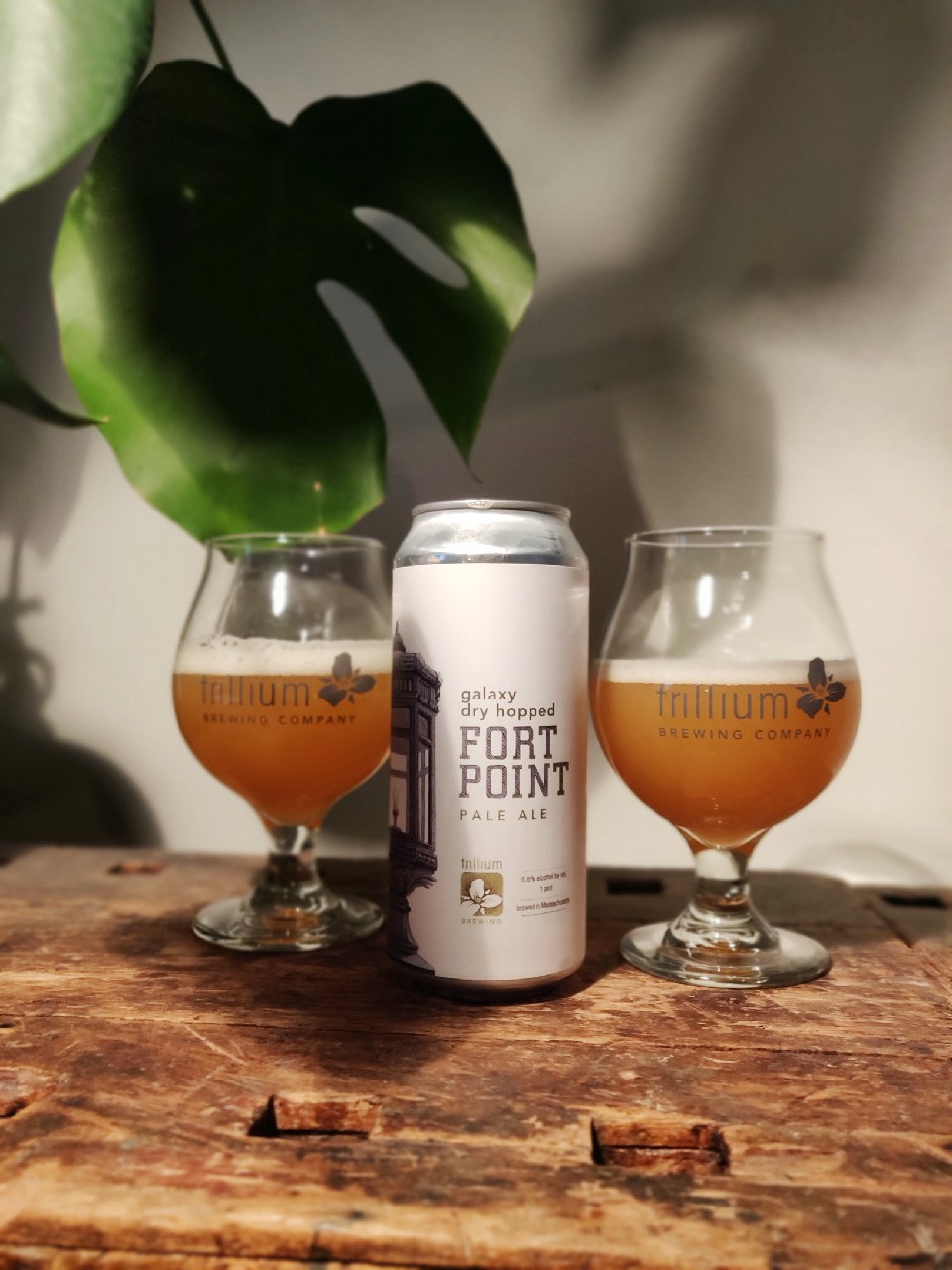 Galaxy Dry Hopped Fort Point, United States