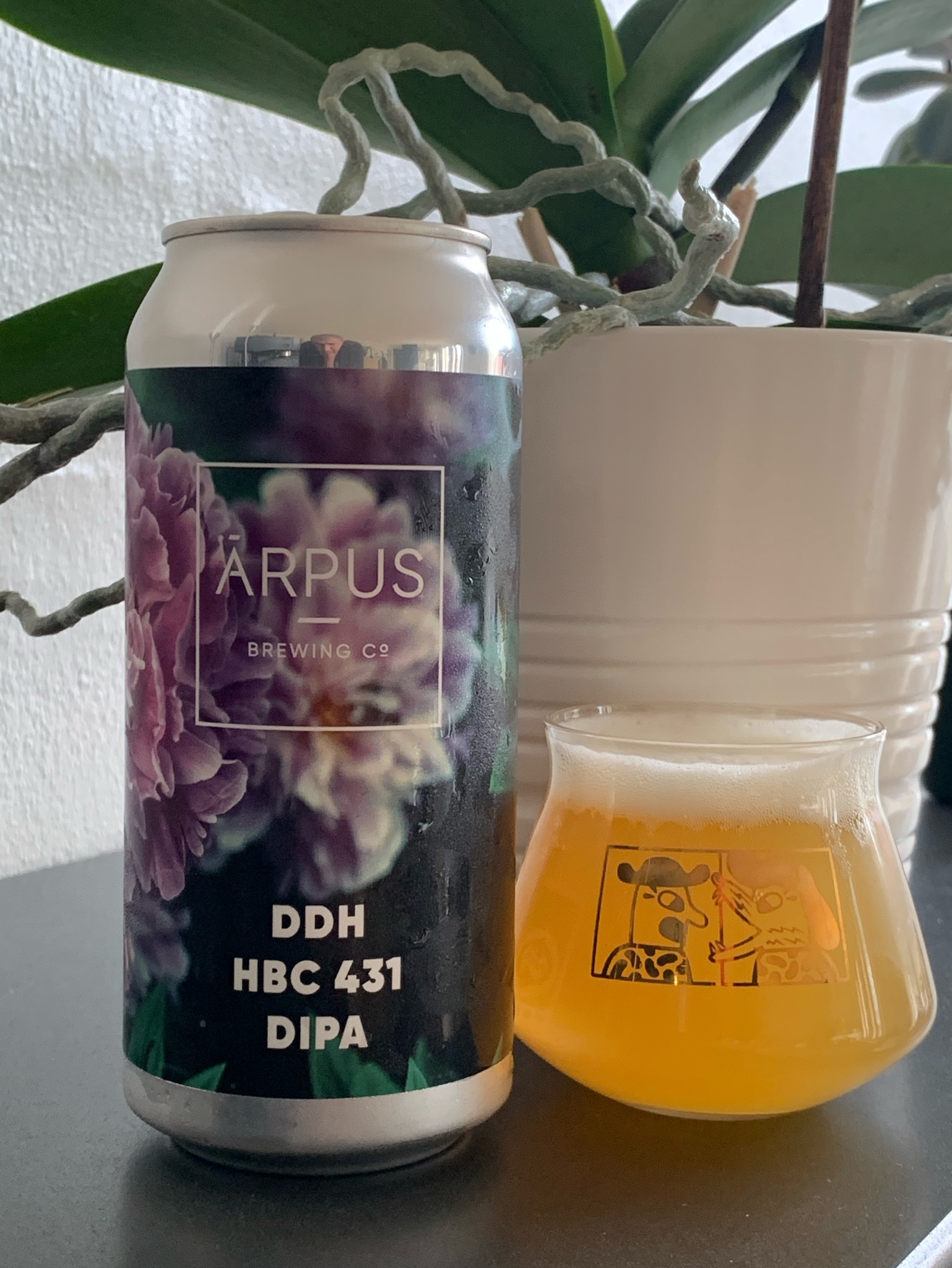 DDH HBC 431 DIPA, Latvia