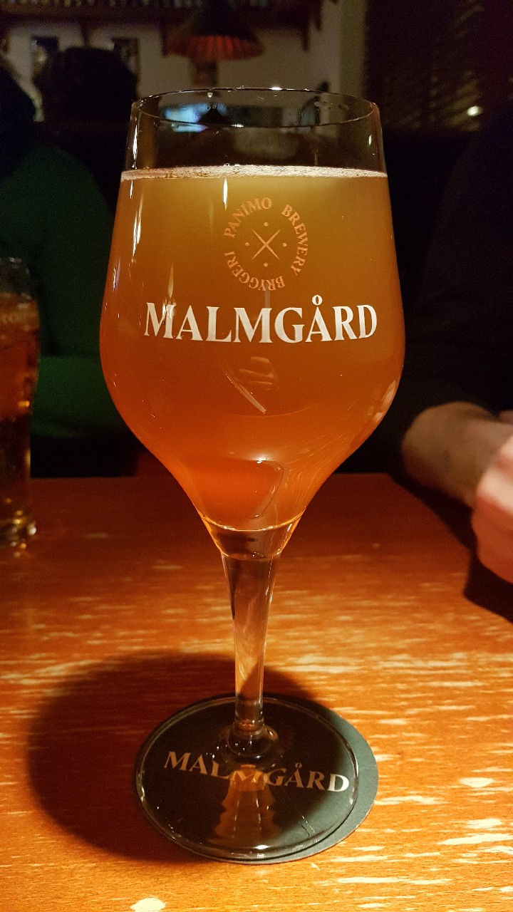 Proto #24 Tyrni Gose, Finland