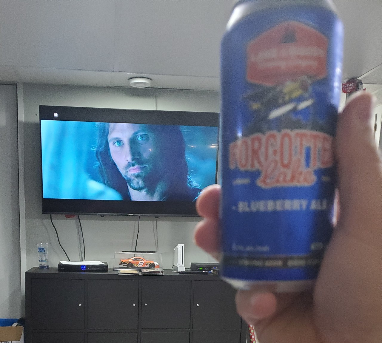 Forgotten Lake Blueberry Ale, Canada