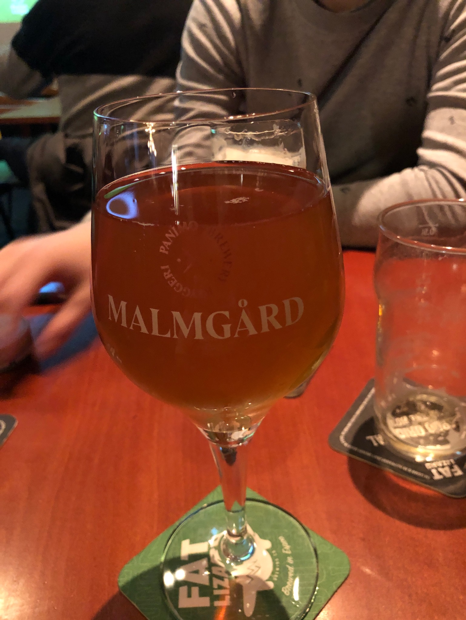 Proto #24 Tyrni Gose, Finland