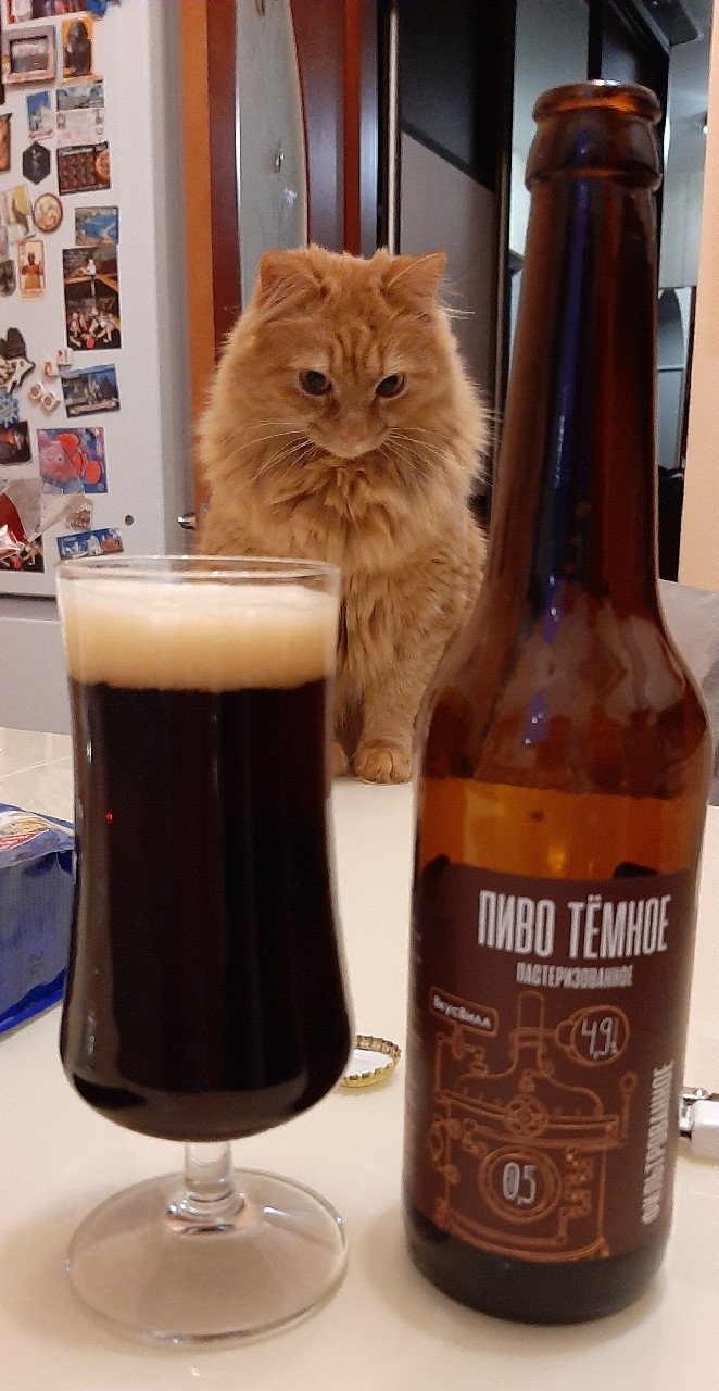 Pivo Temnoe / Пиво тёмное, Russia