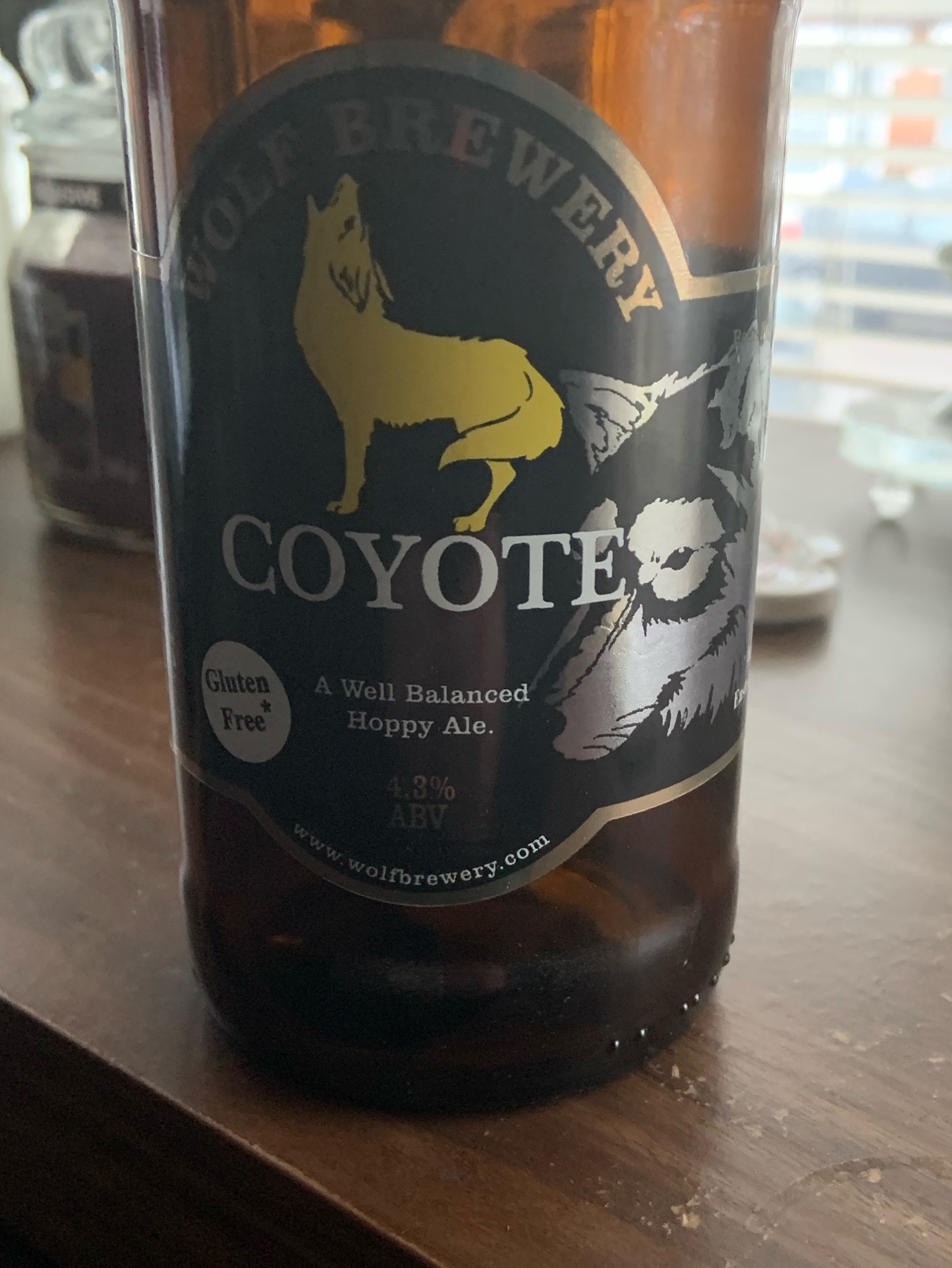 Coyote, England