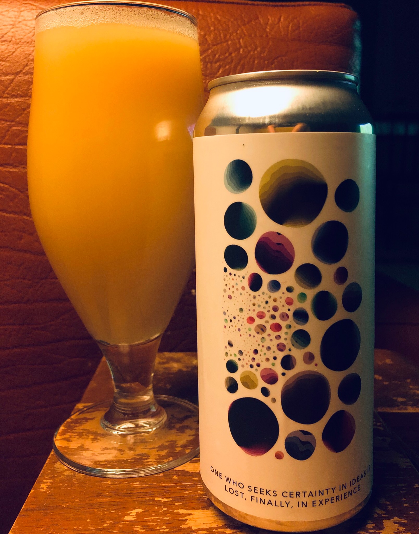 One Who Seeks Certainty In Ideas Is Lost, Finally, In Experience, United States