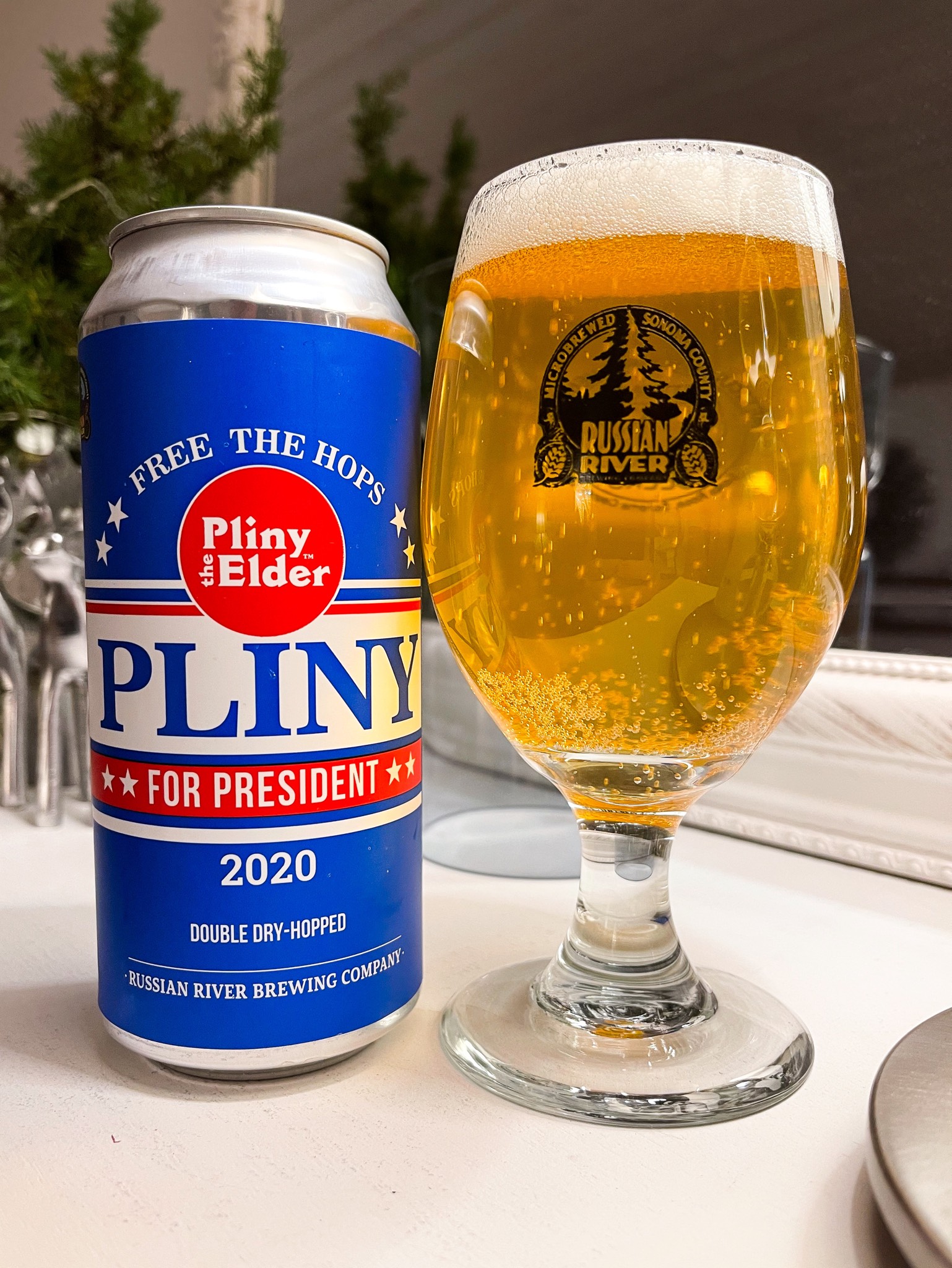 Pliny for President, United States
