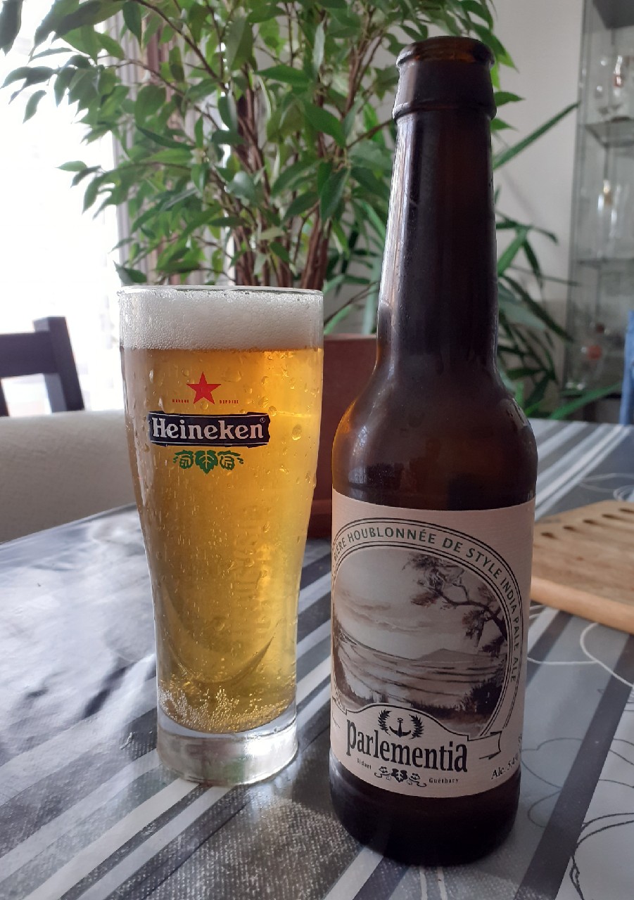 Parlementia Session IPA, France