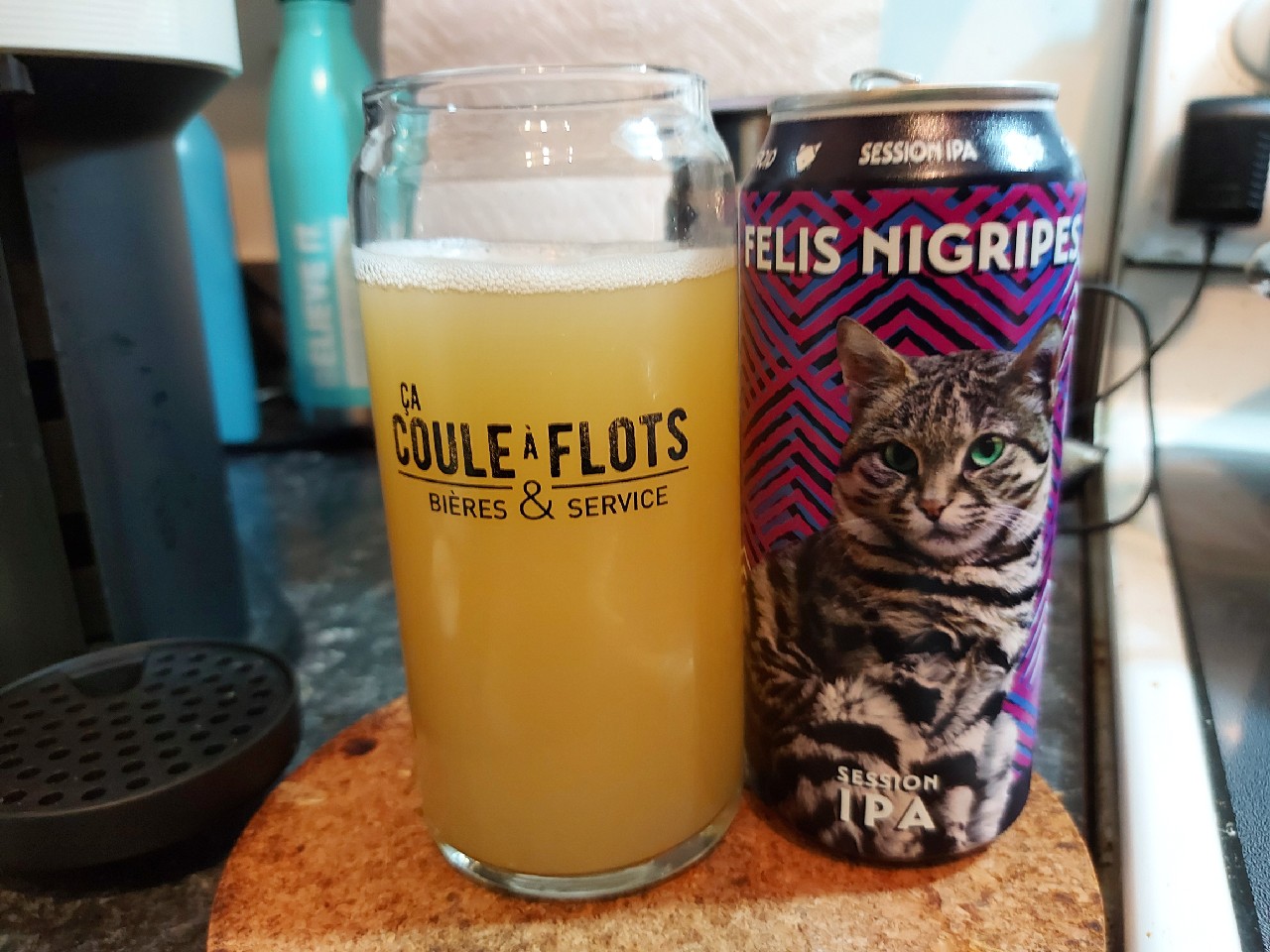 Felis nigripes, Canada