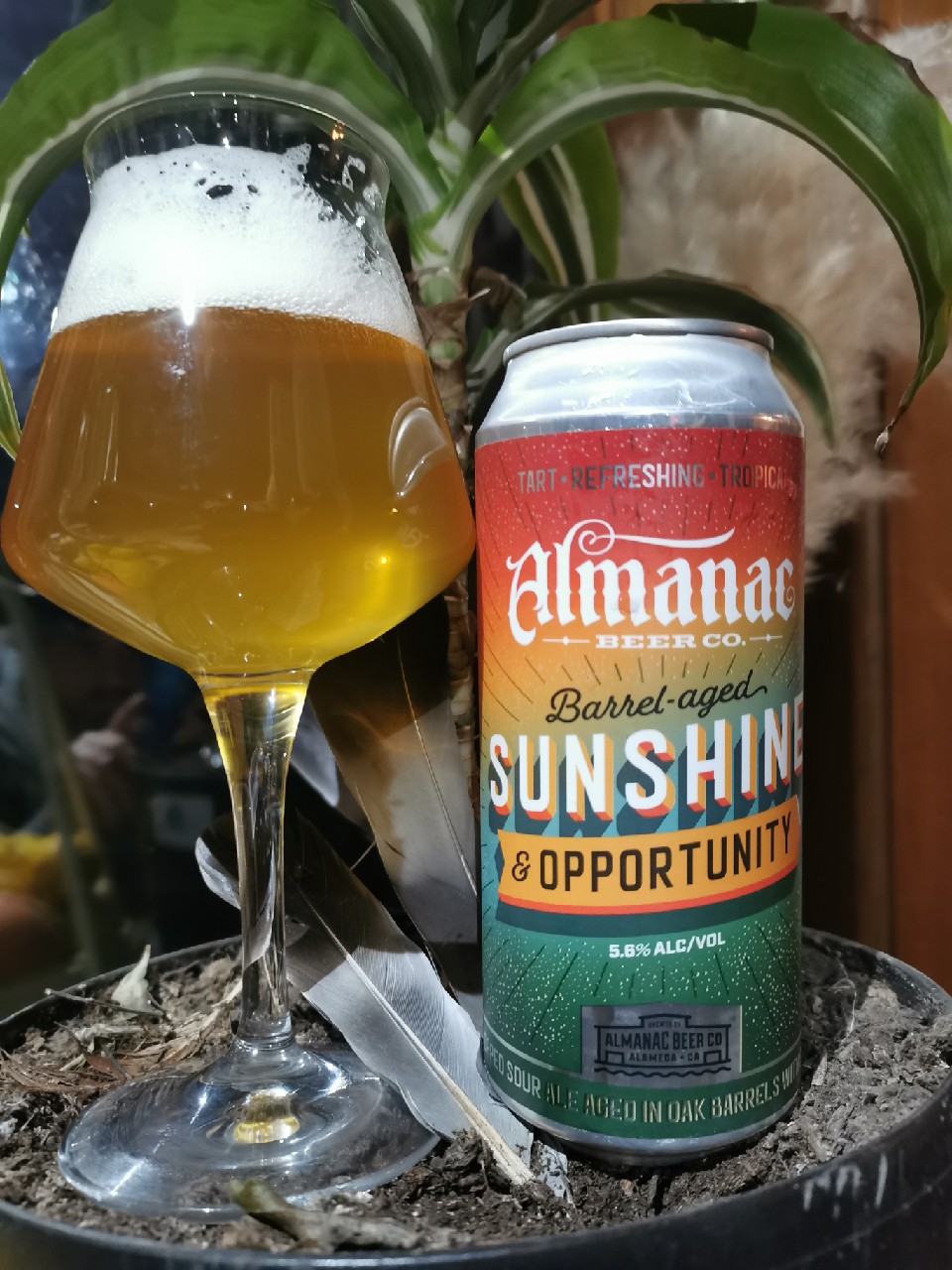 Sunshine & Opportunity, United States