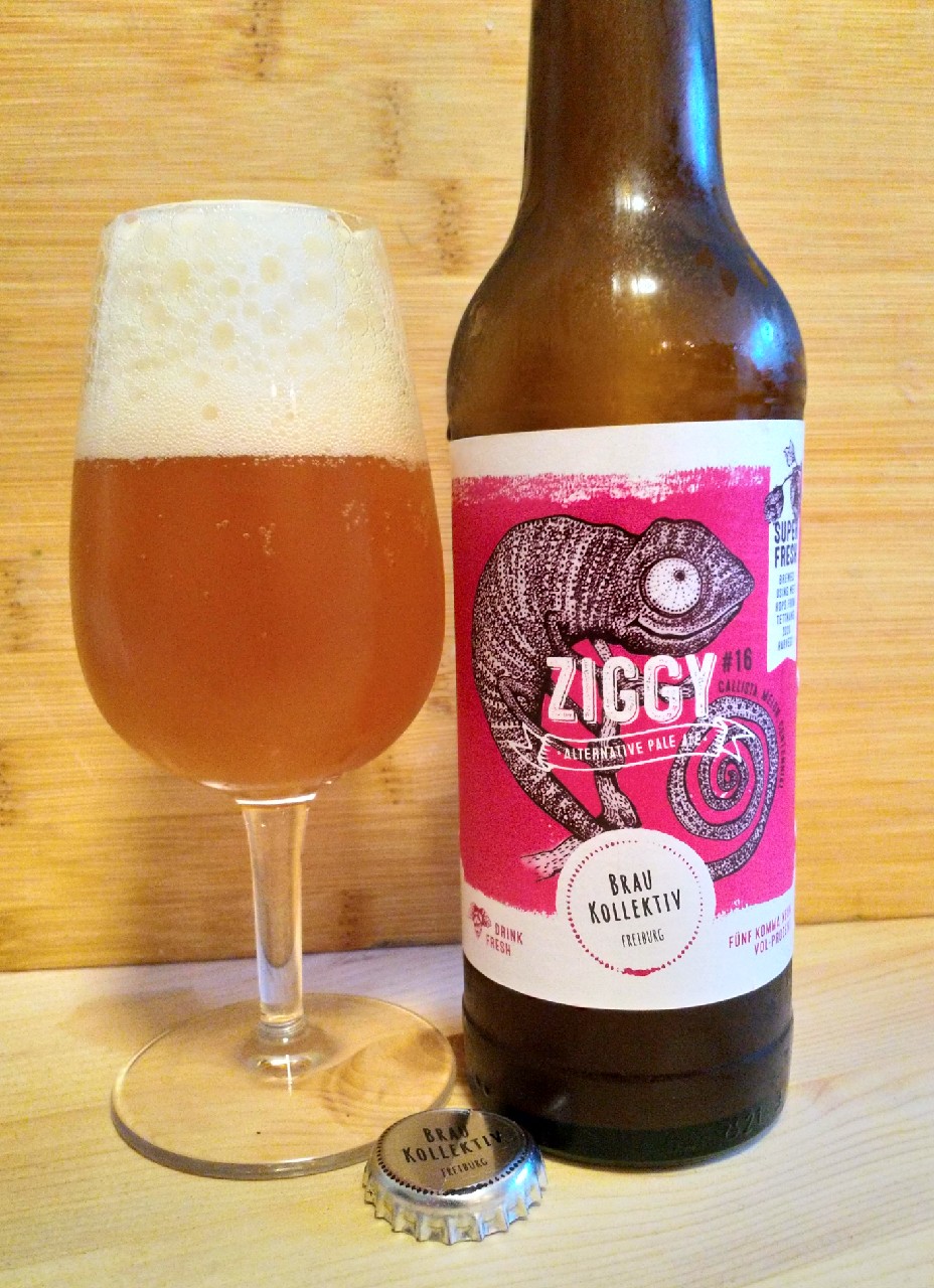 Ziggy #16, Germany