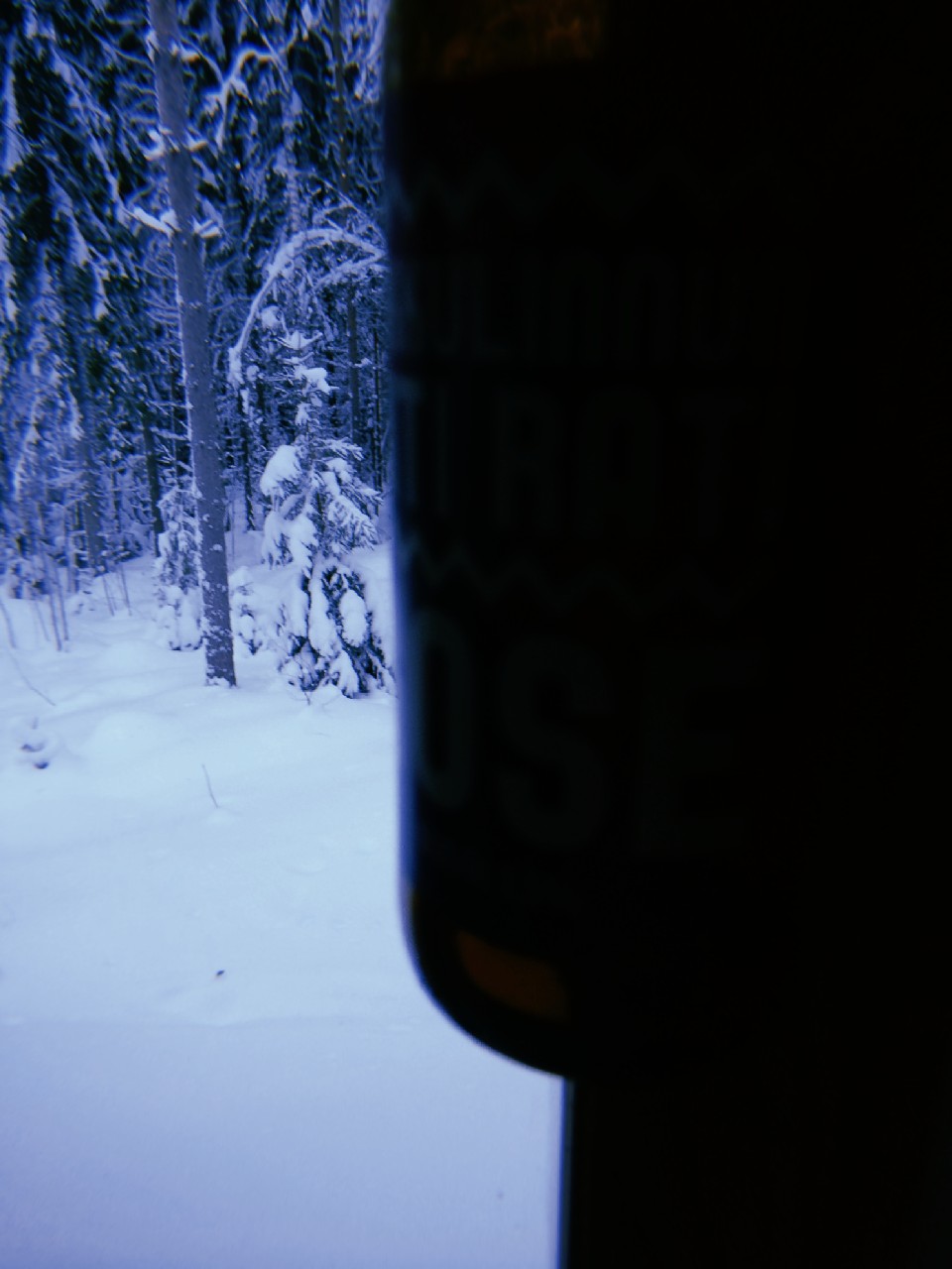 Pikkulinnun Riti Rati Gose, Finland