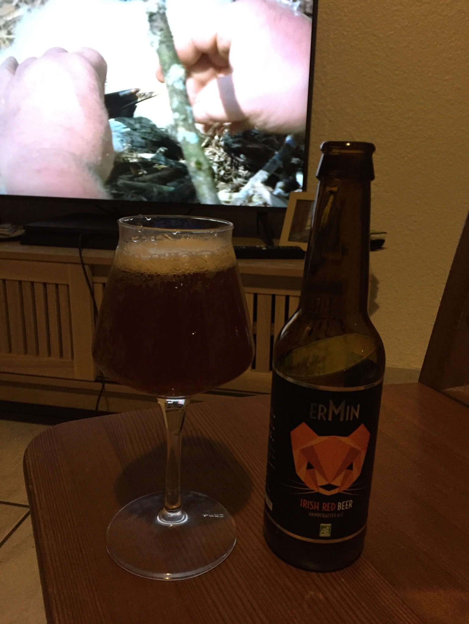 ErMin Irish Red Beer, France