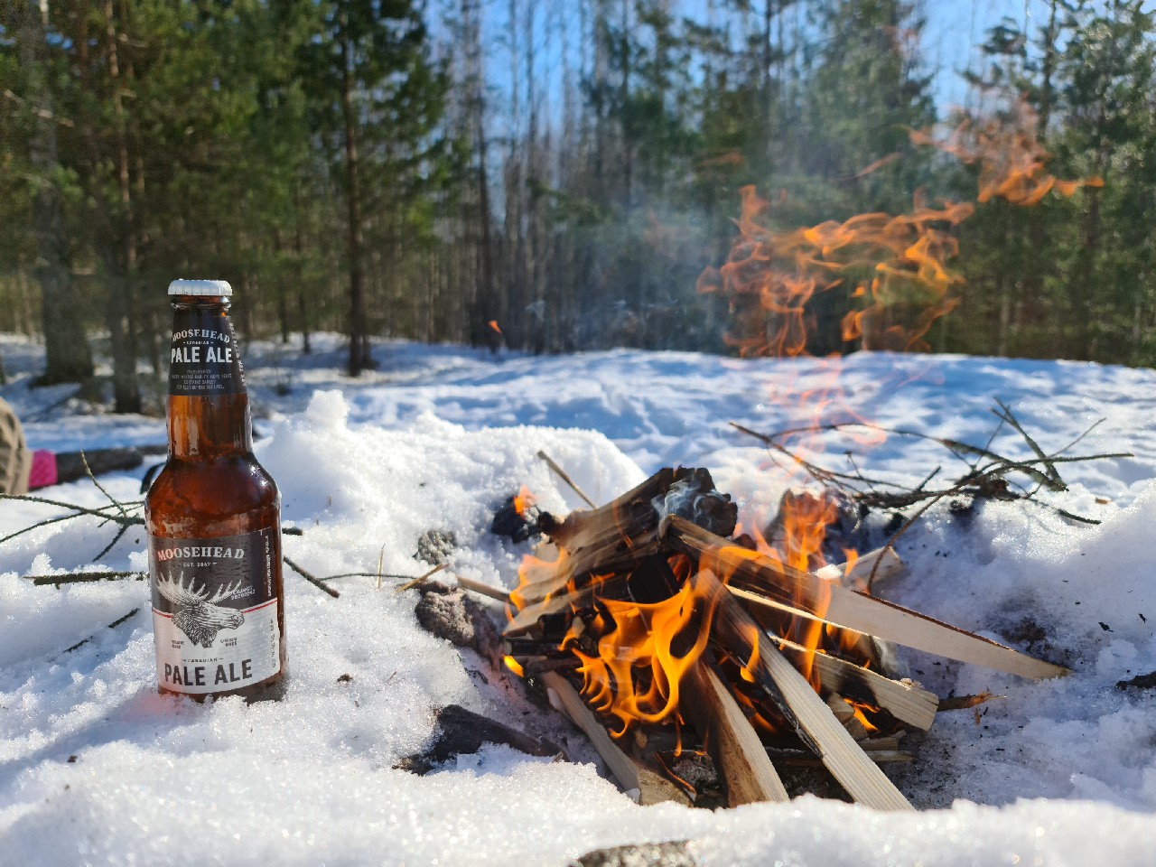 Canadian Pale Ale, Canada