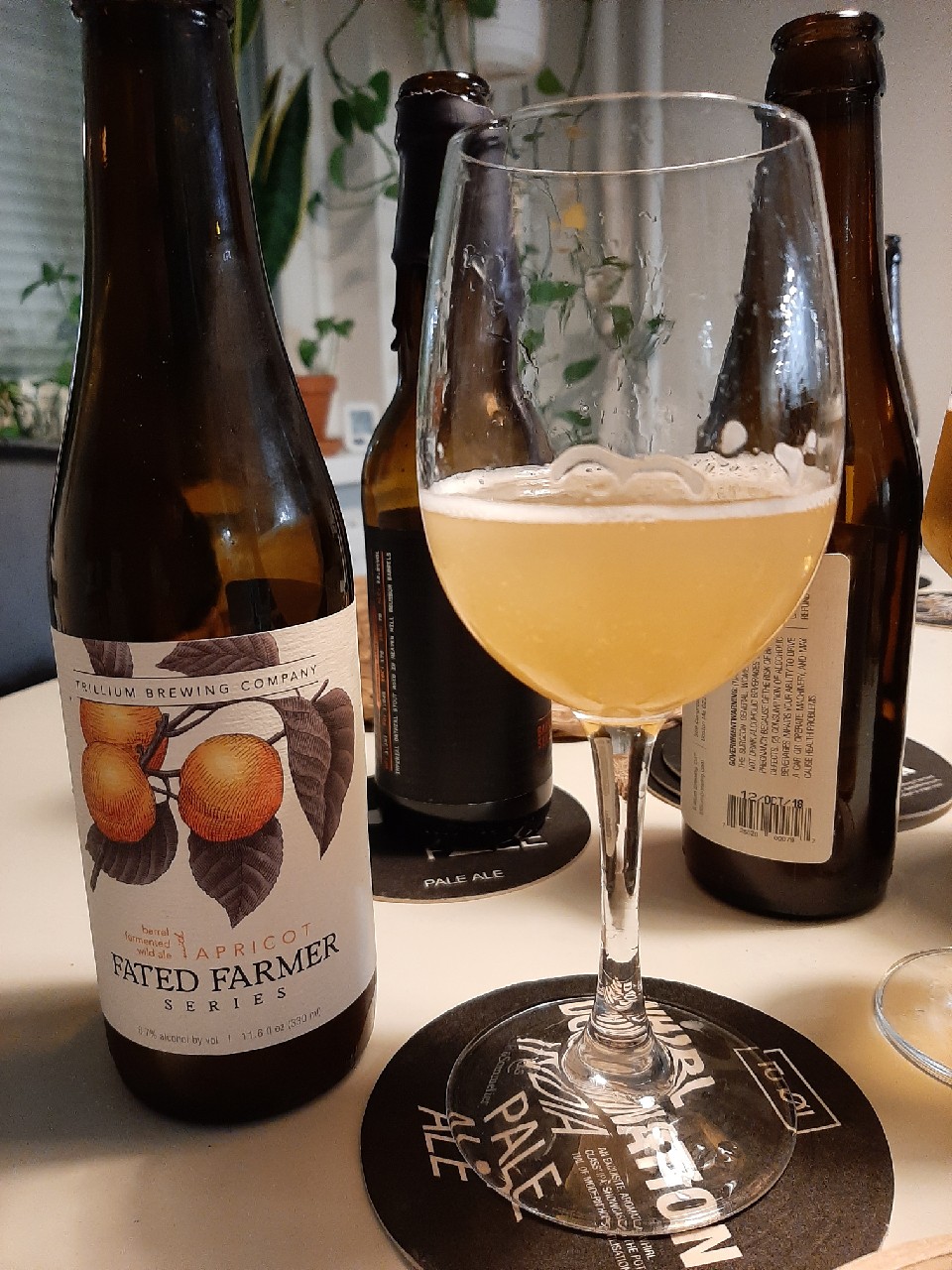 Fated Farmer: Apricot (2019), United States