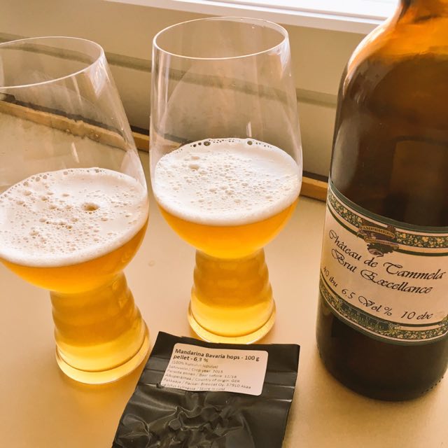 Château de Tammela - Brut Excellance, Finland