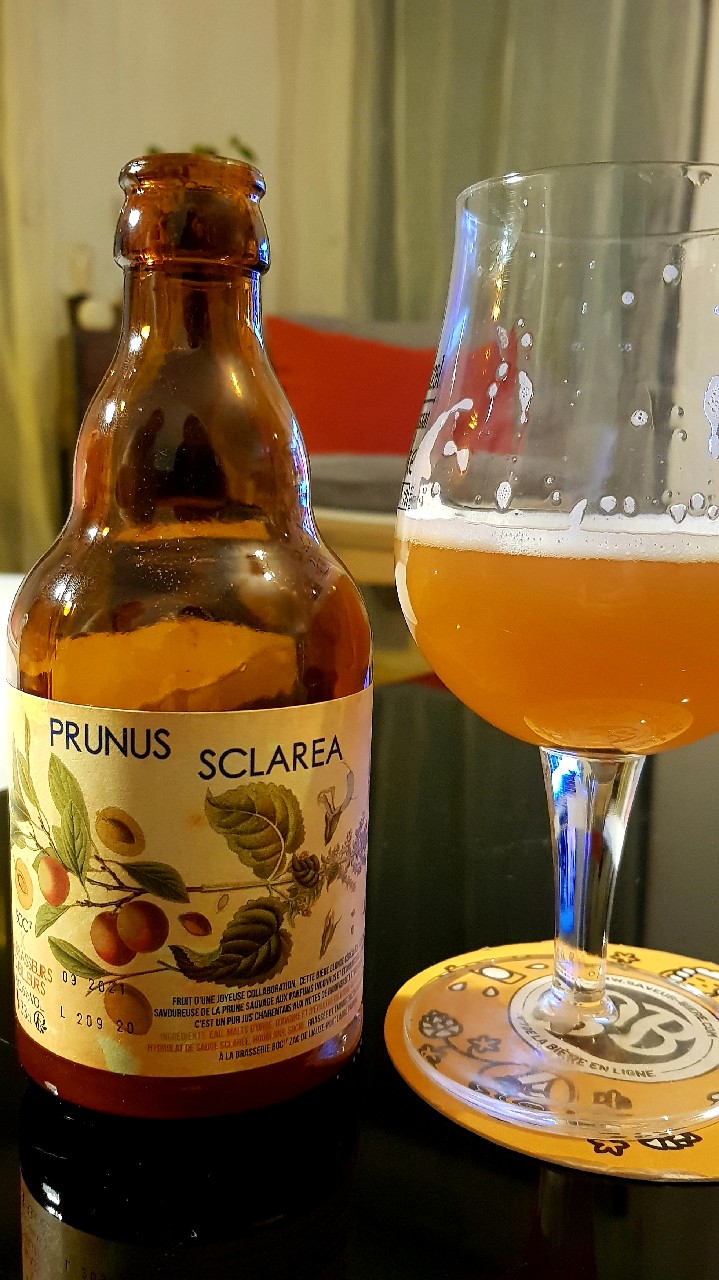 Prunus Scalera, France