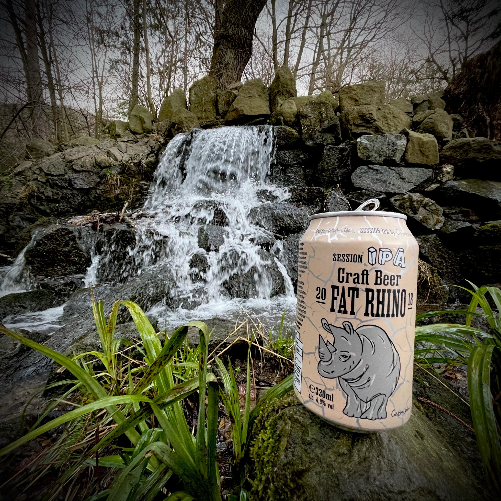 Fat Rhino 2018, Germany