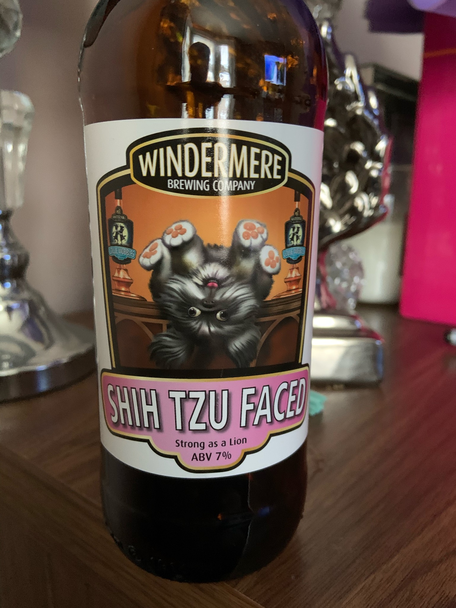 Shih Tzu Faced, England