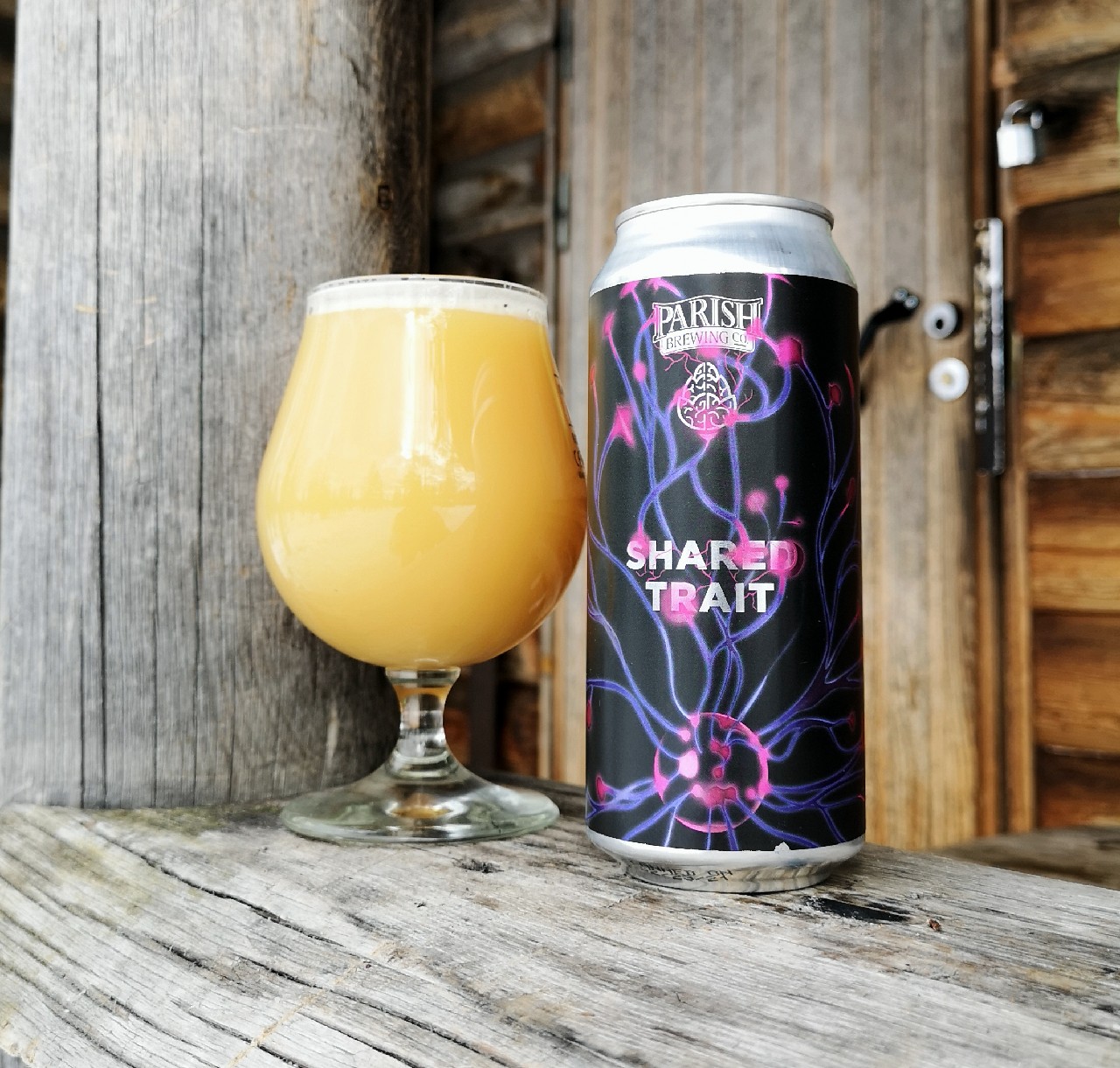 Shared Trait, United States