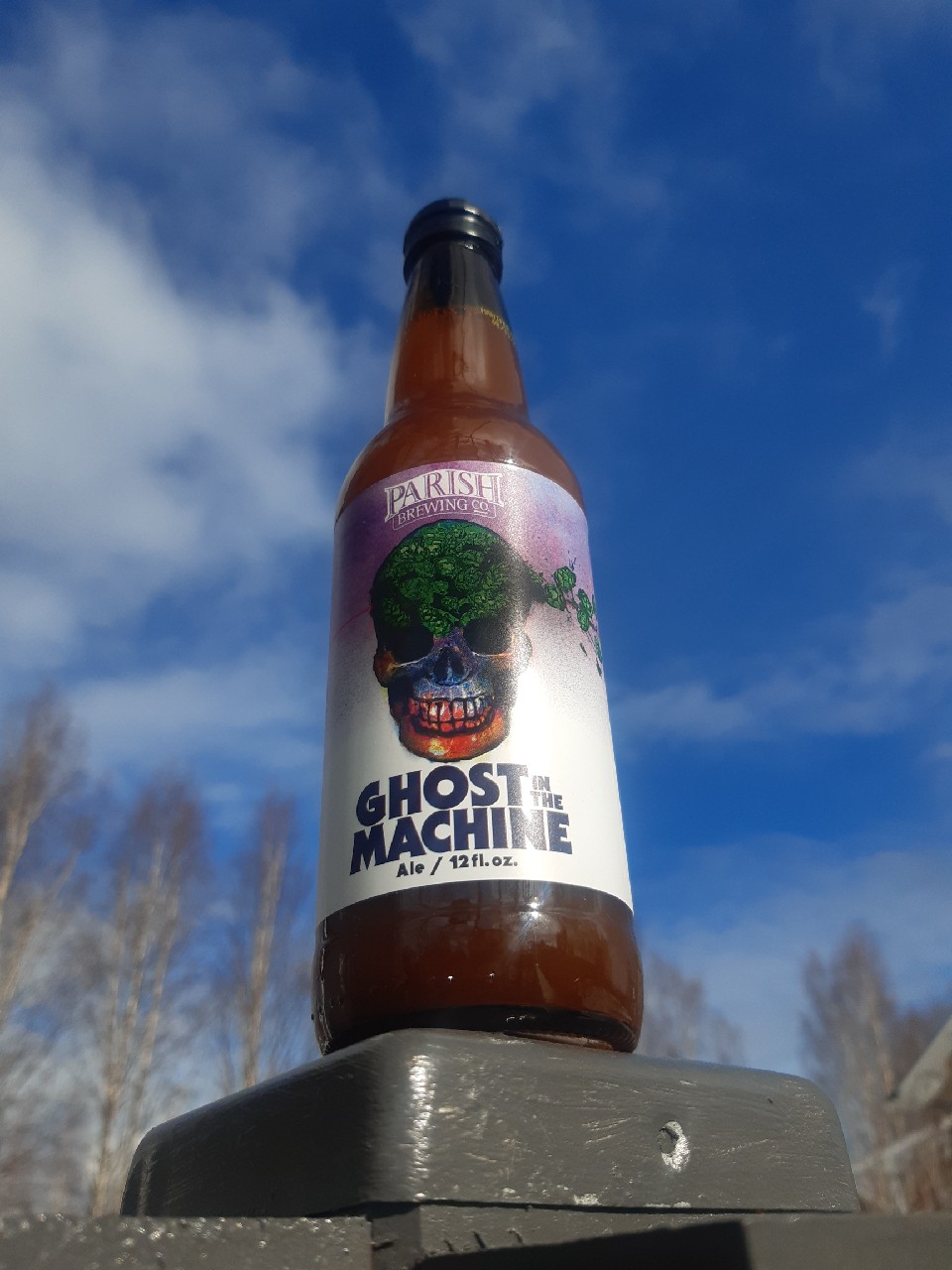 Ghost in the Machine, United States