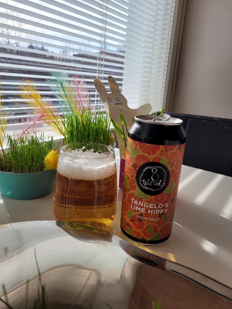 Tangelo & lime hippy, New Zealand