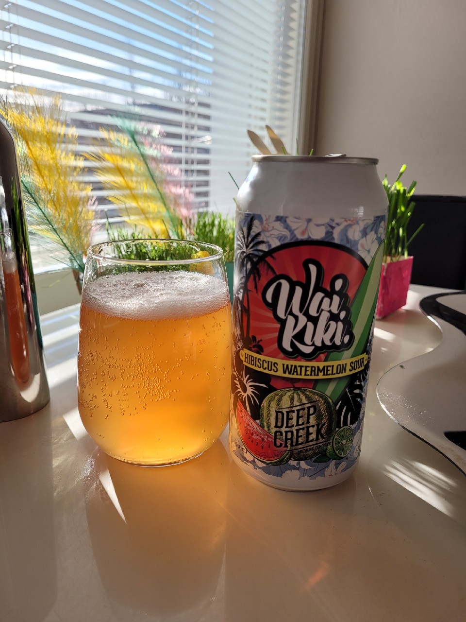 Waikiki hibiscus watermelon sour, New Zealand