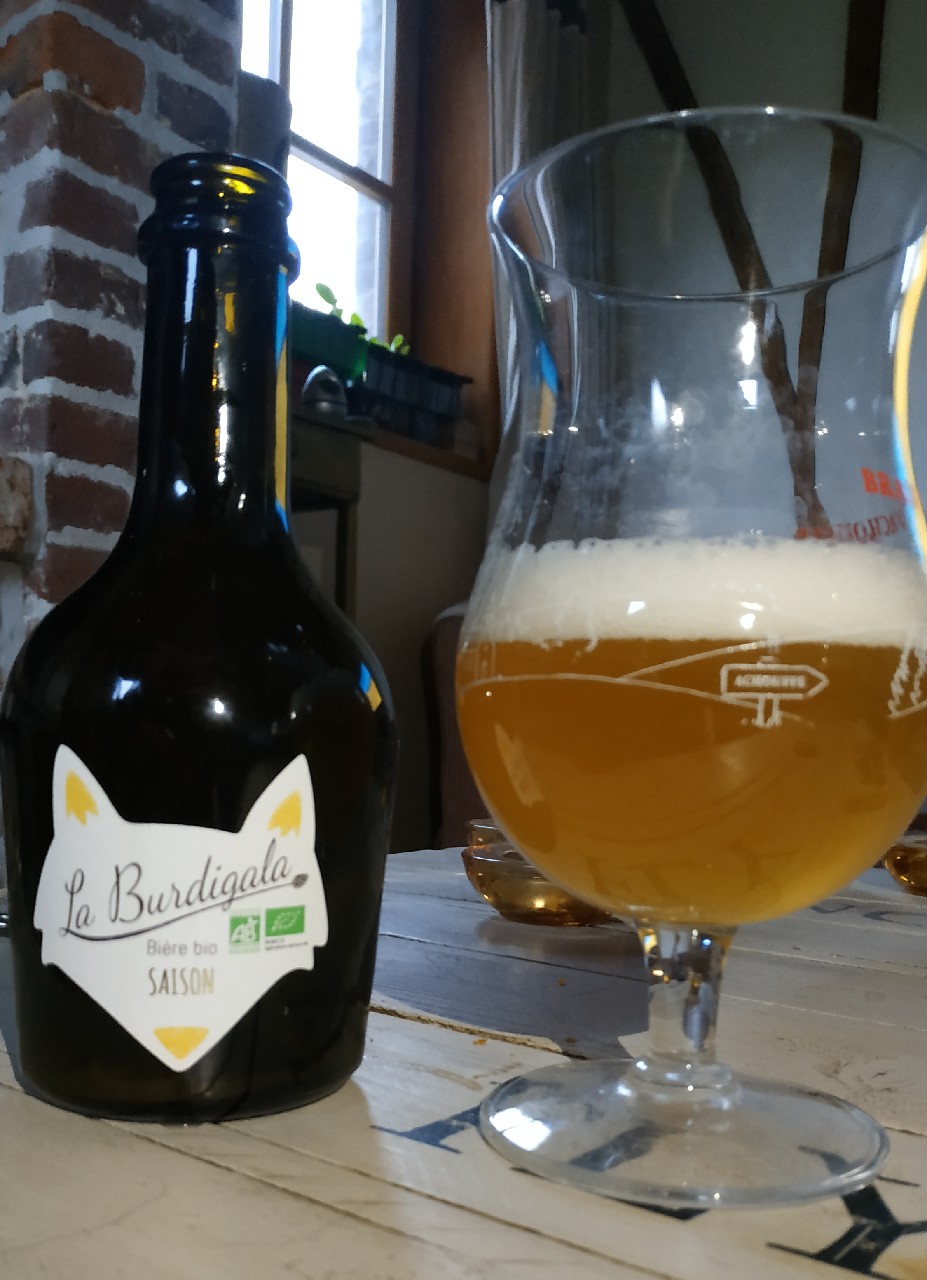Bière Bio Saison, France