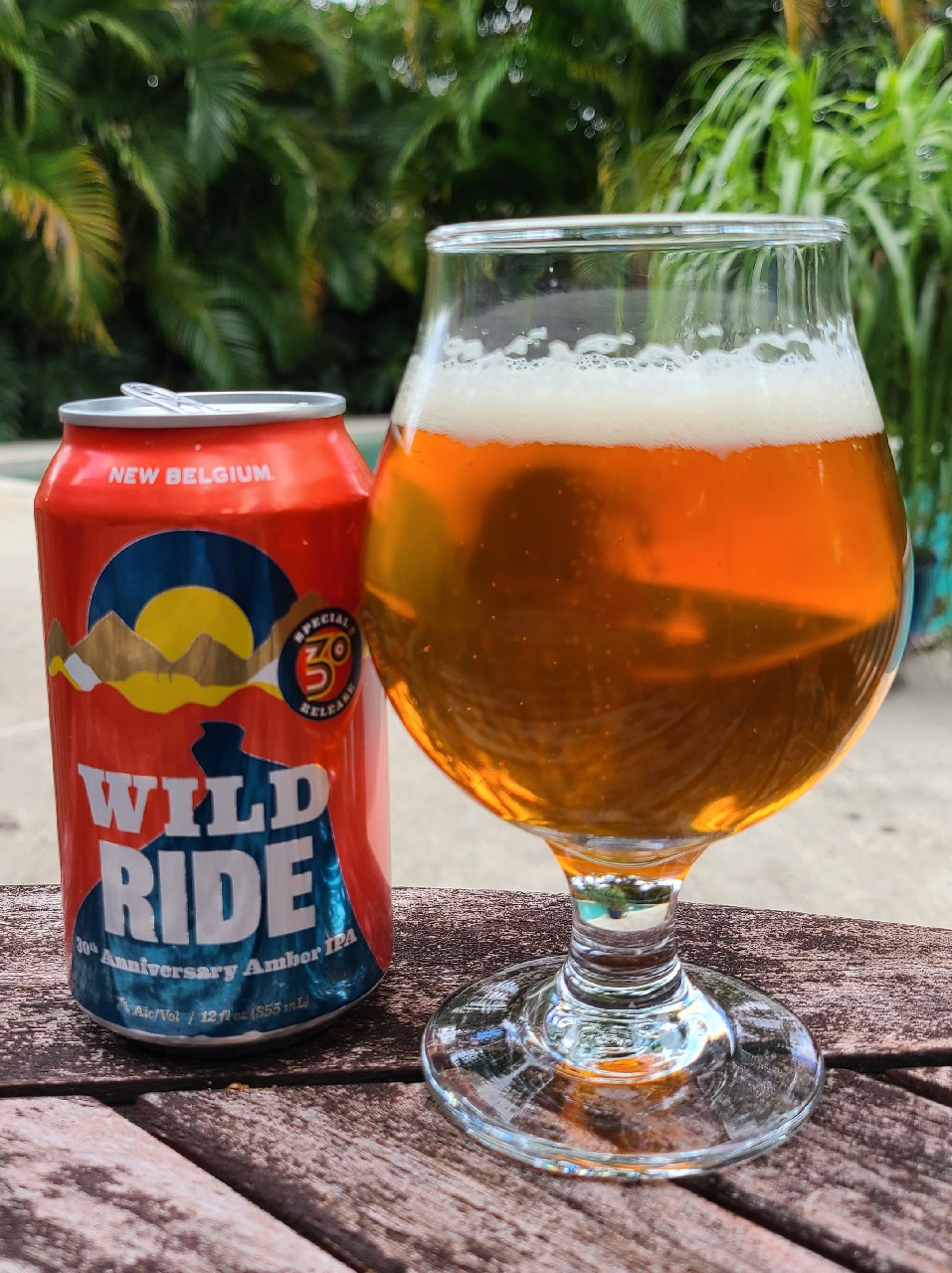 Wild Ride, United States