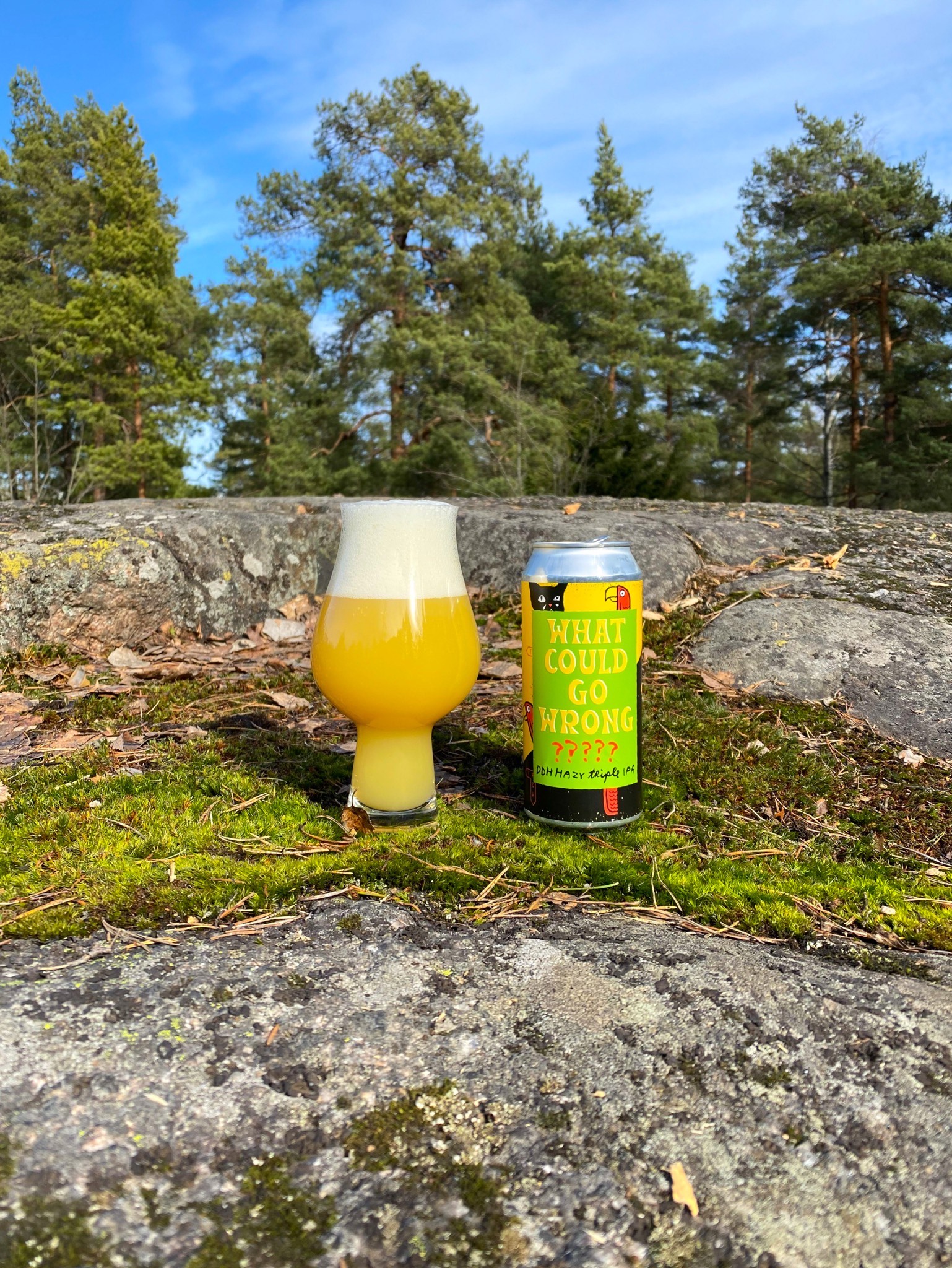 What Could Go Wrong?, United States