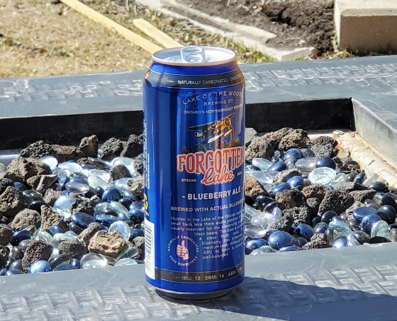 Forgotten Lake Blueberry Ale, Canada