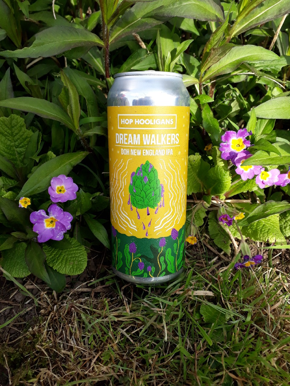 Dream Walkers, Romania