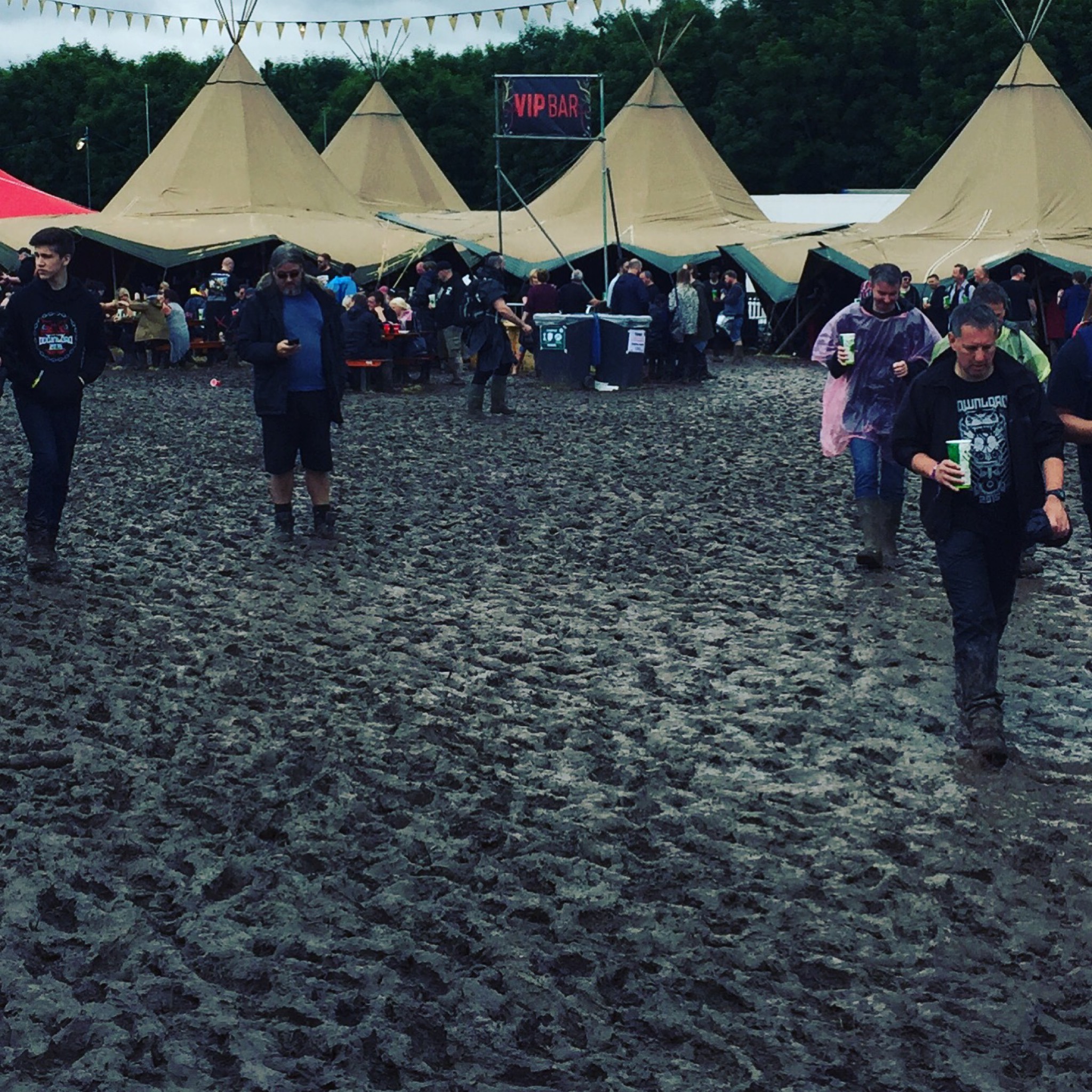 Dogtooth bitter, England