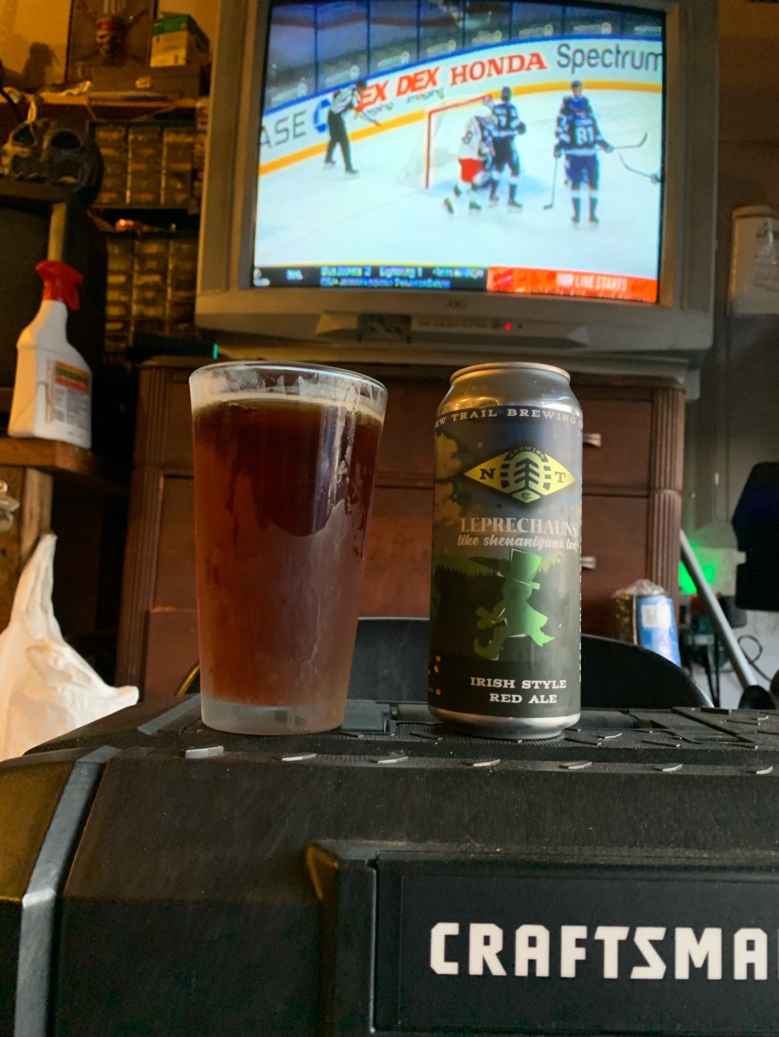 Leprechauns Like Shenanigans Too, United States