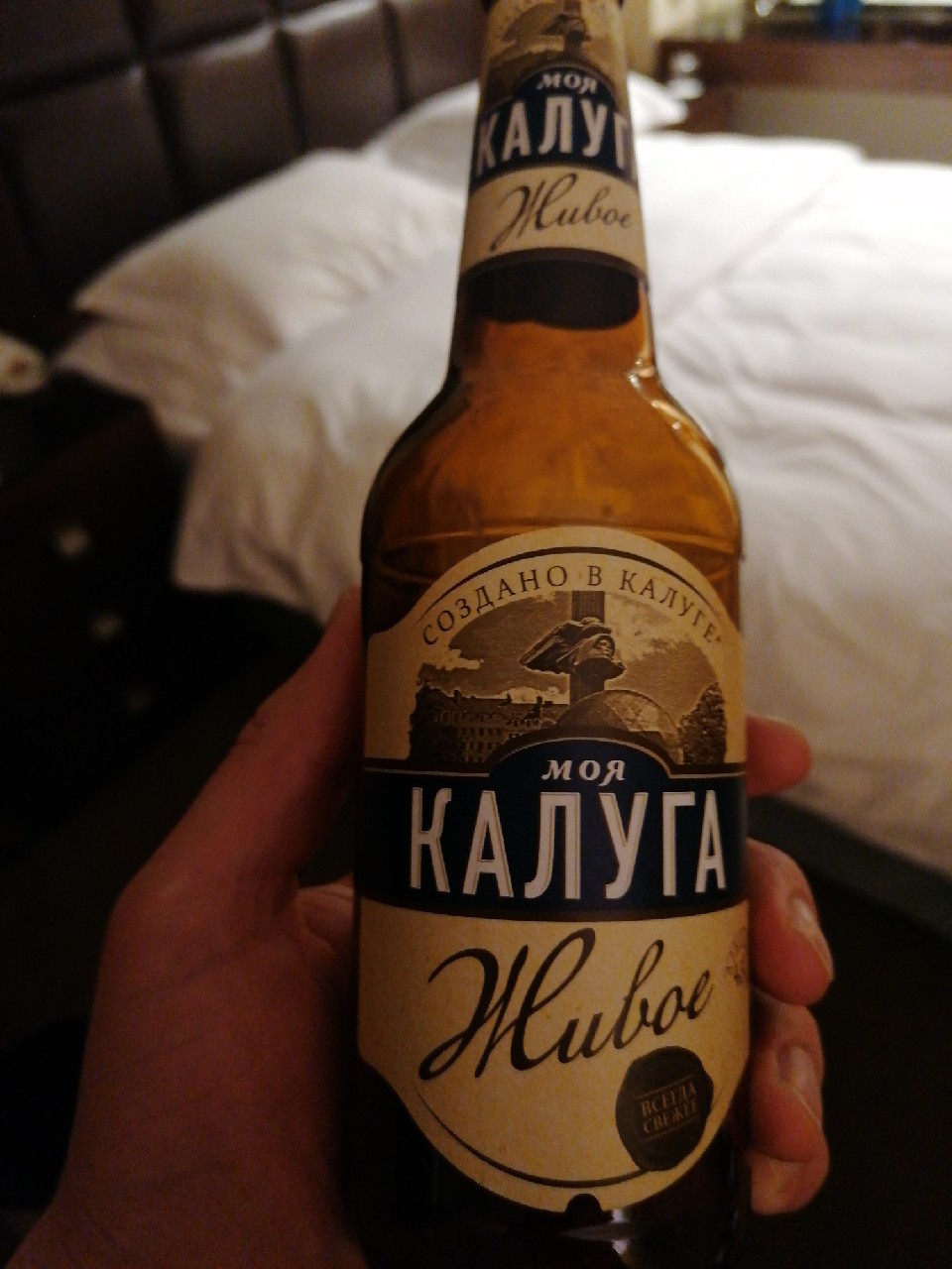 Moya Kaluga Zhivoe / Моя Калуга Живое, Russia