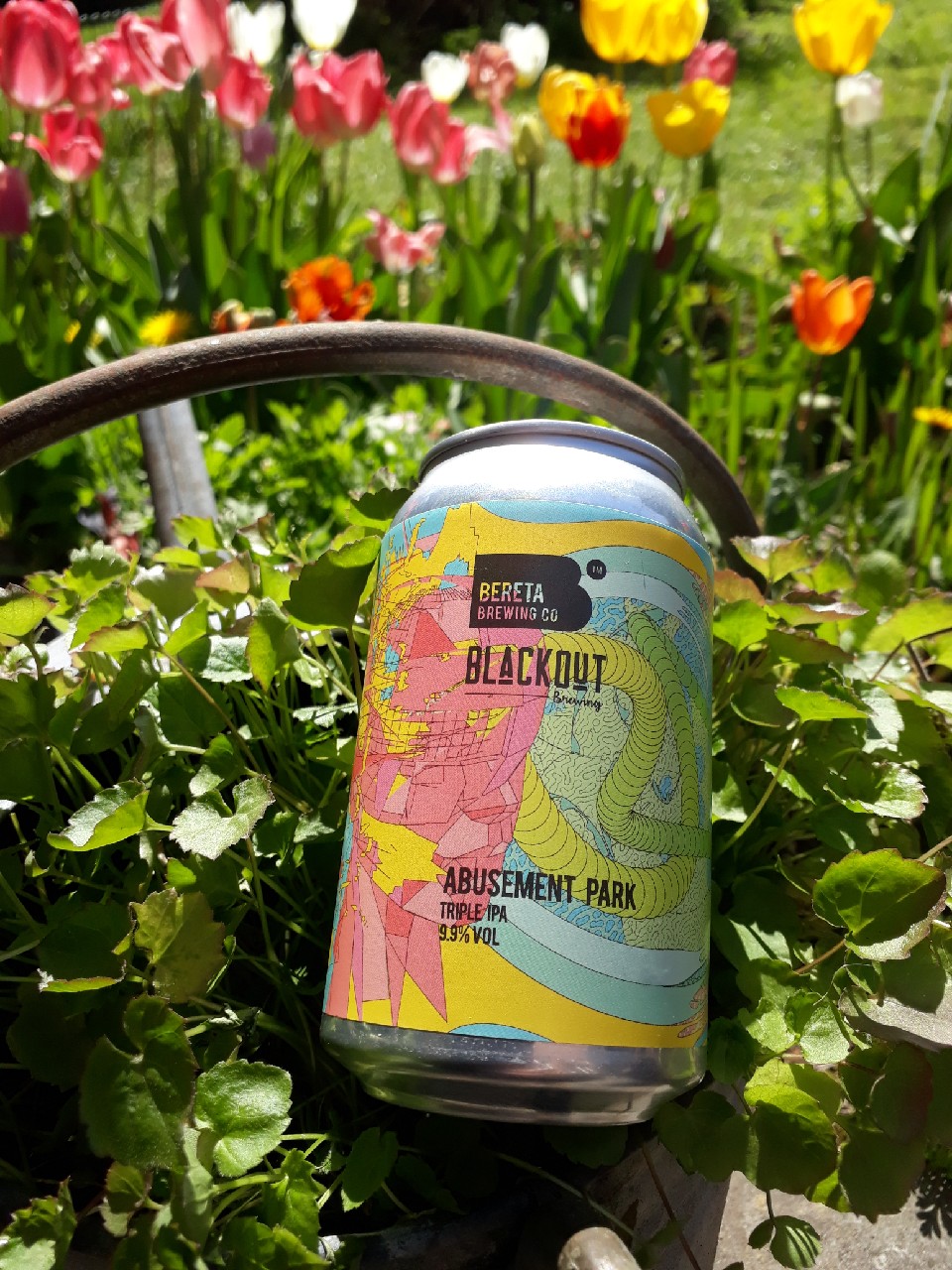 Abusement Park, Romania