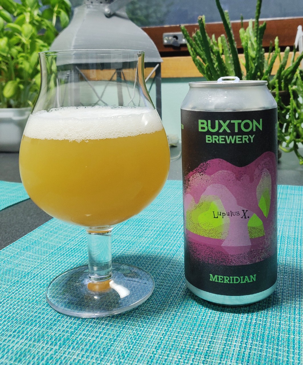 Lupulus X. Meridian, England